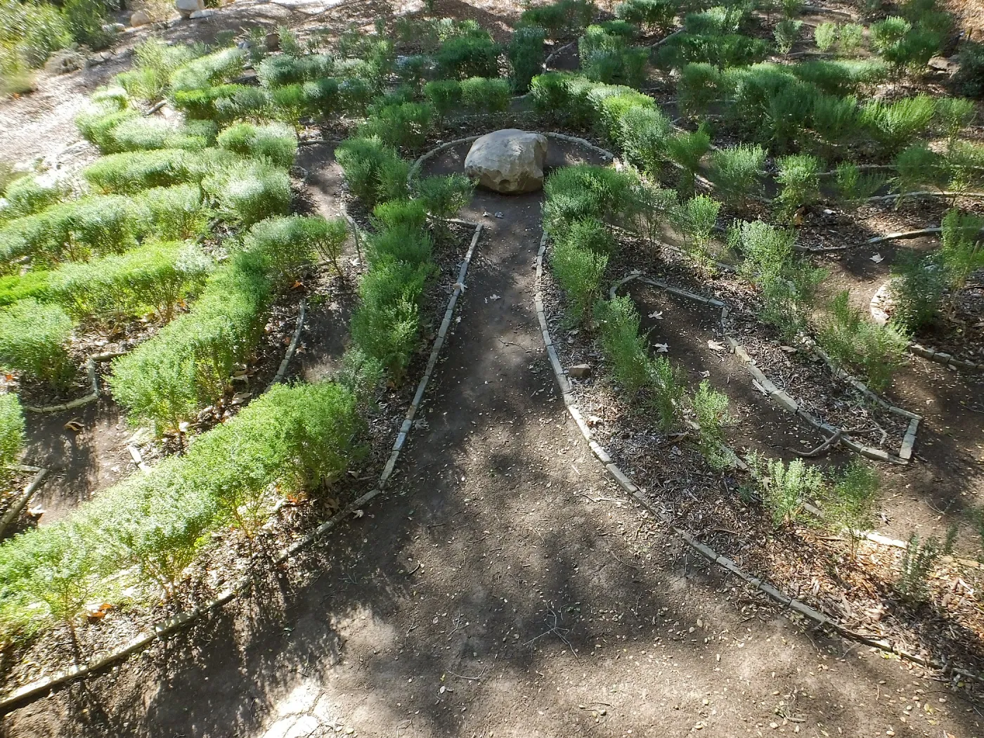 Centennial Maze