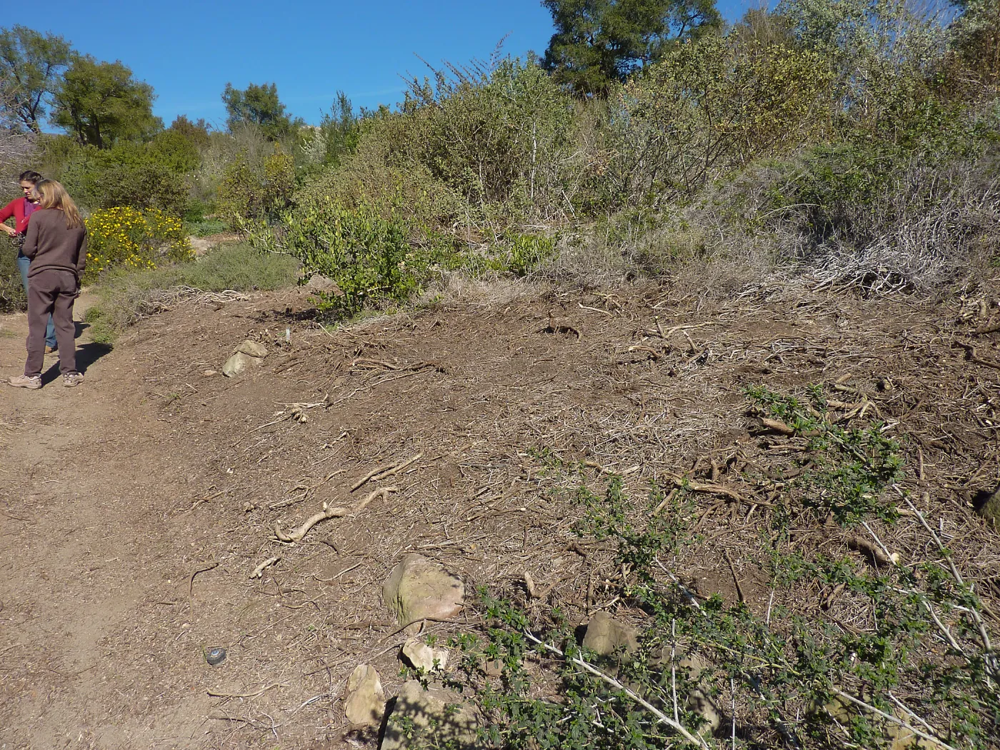 Ann McInnerney, Porter Trail