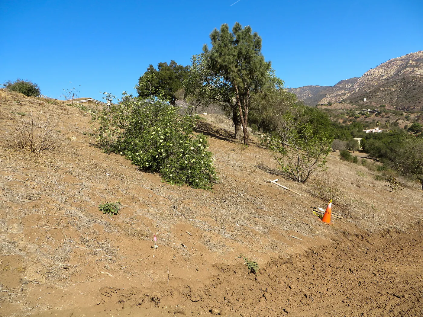 East Slope