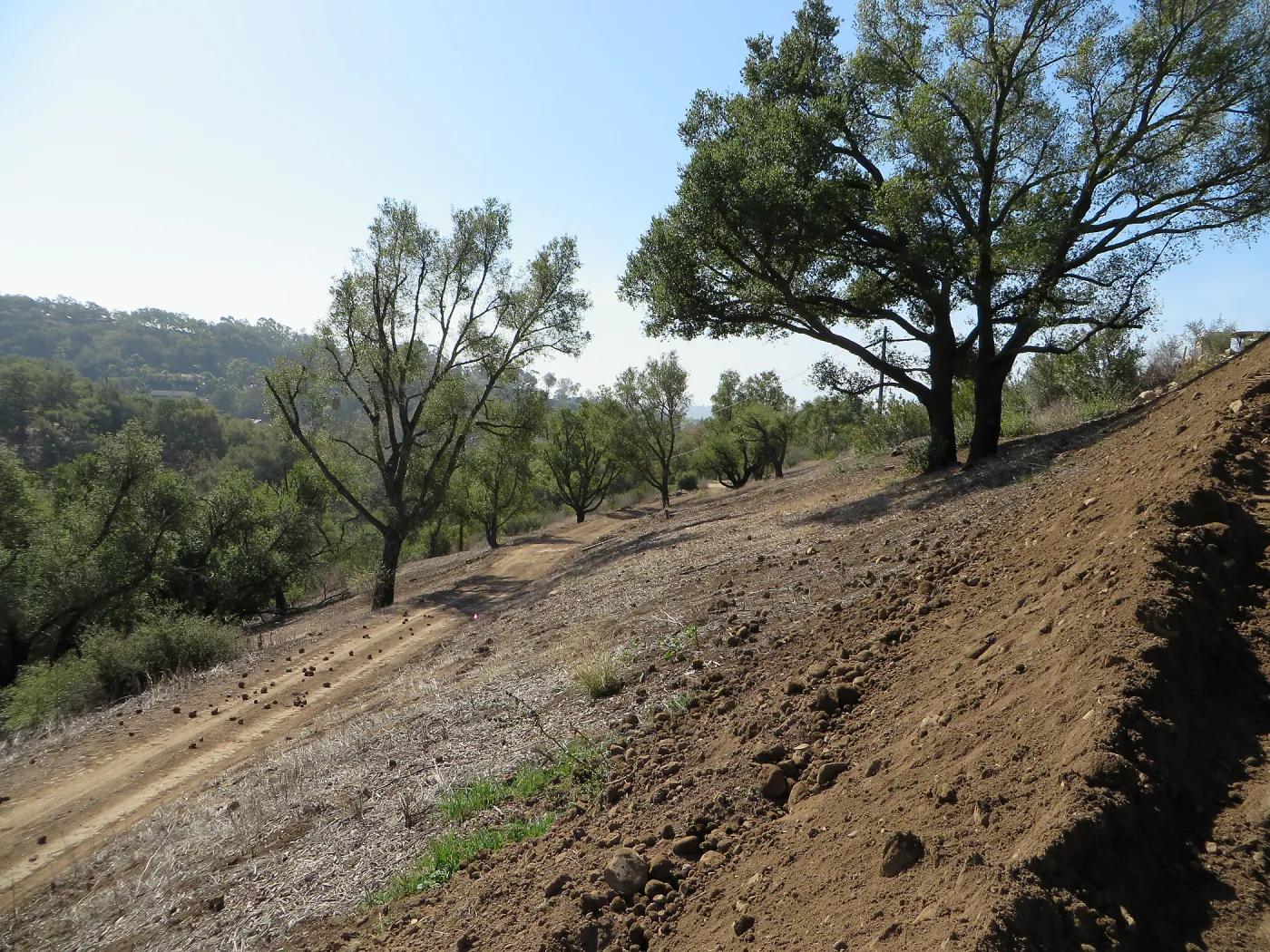 East Slope
