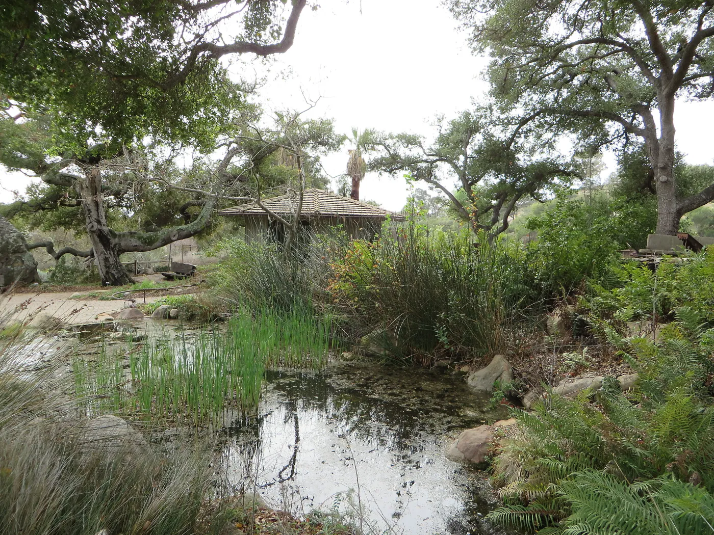 Garden Pond with Lockwood de Forest Kiosk