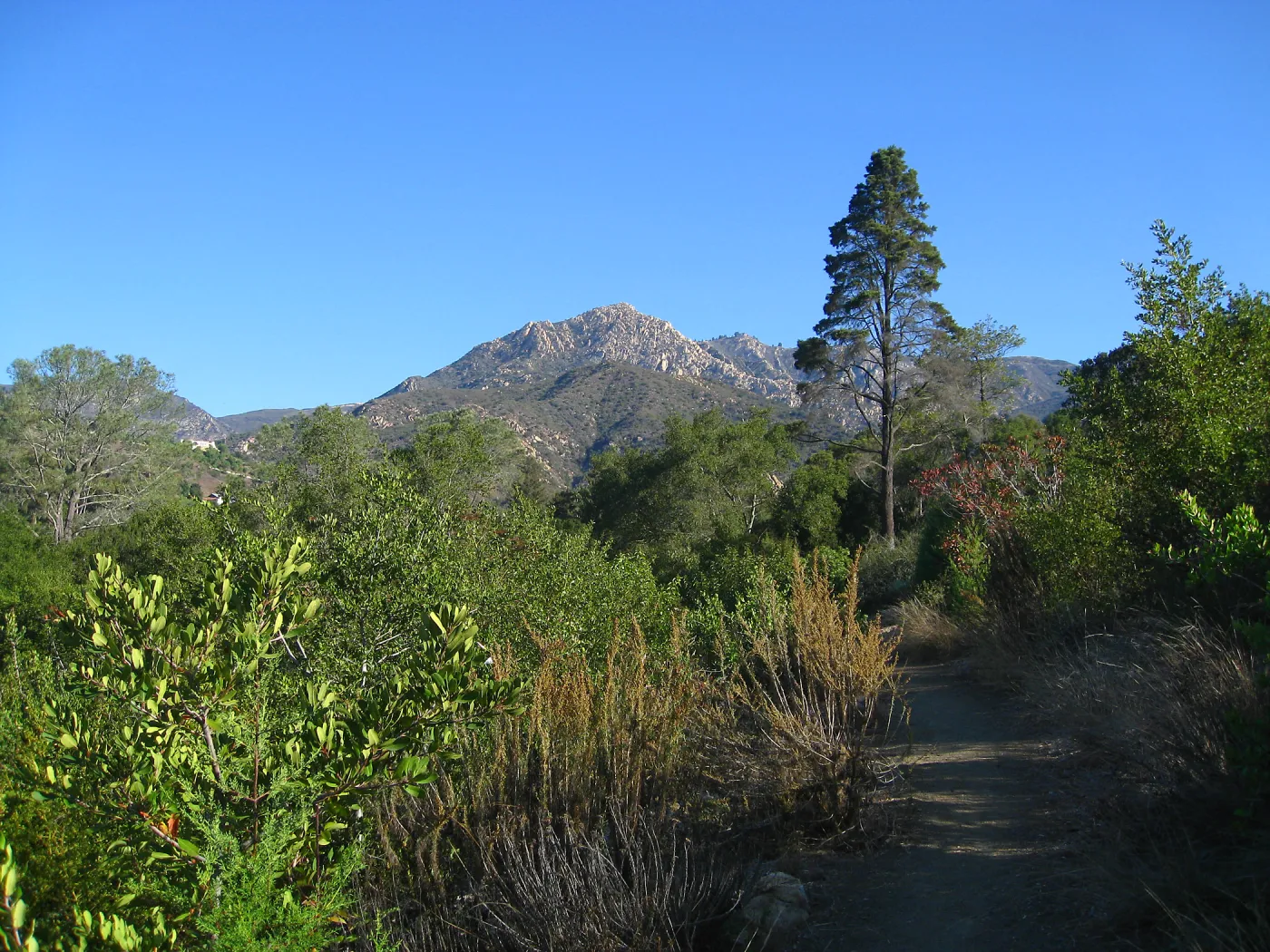 Porter Trail