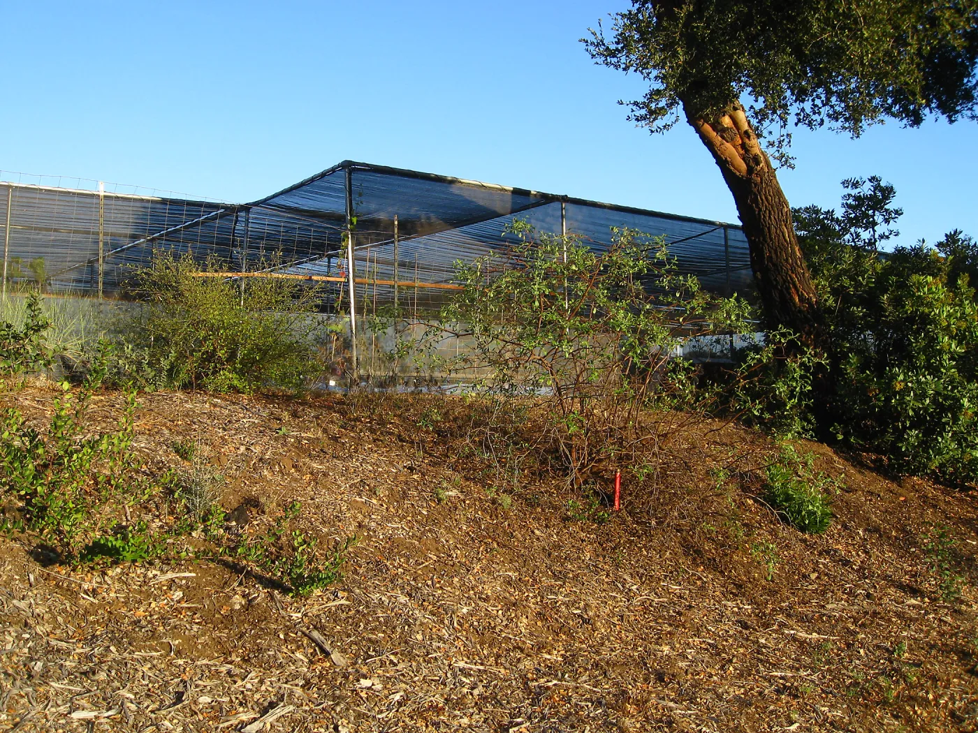Southwest Trail, looking up to the Garden Growers Canyard