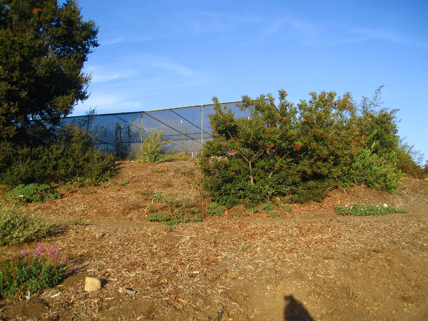 Southwest Trail, looking up to the Garden Growers Canyard