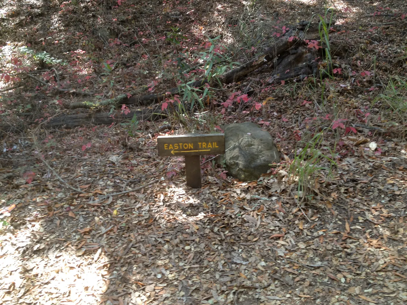 Directional signage in Canyon