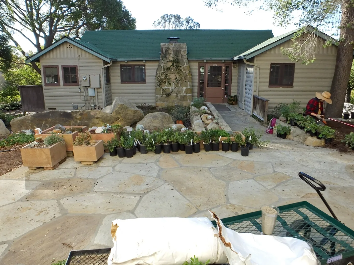 Home Demonstration Garden Renovation, view 2, north side of Cottage, first day of replanting work