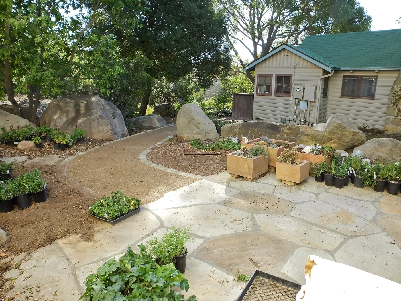 Home Demonstration Garden Renovation, view 3, north side of Cottage, first day of replanting work