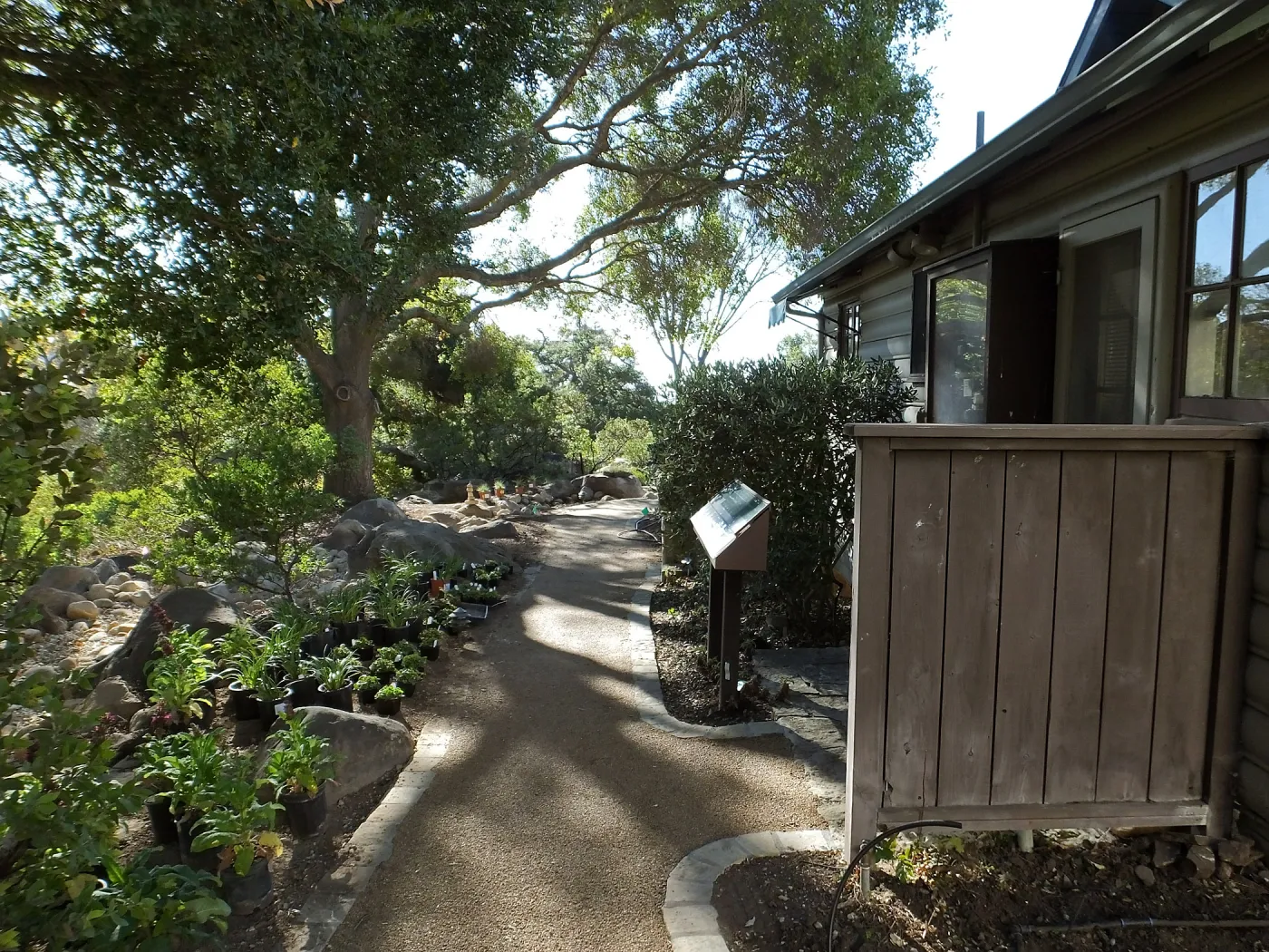 Home Demonstration Garden Renovation, view 6, looking south along path east of Cottage, first day of replanting work