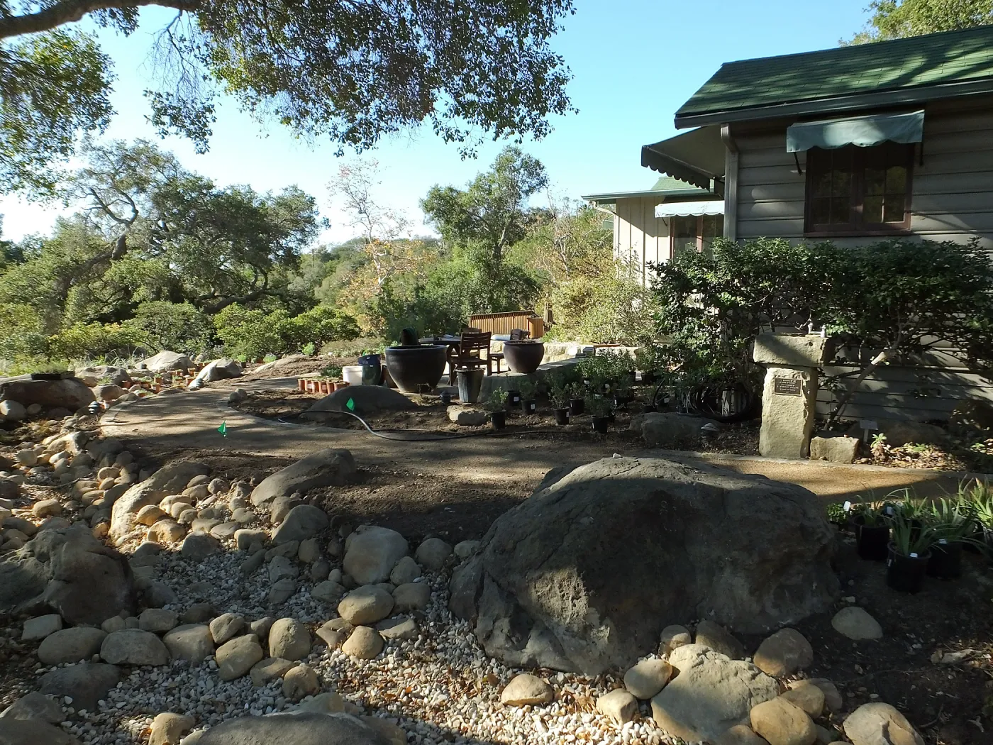 Home Demonstration Garden Renovation, view 11, east of Cottage looking southwest, first day of replanting work