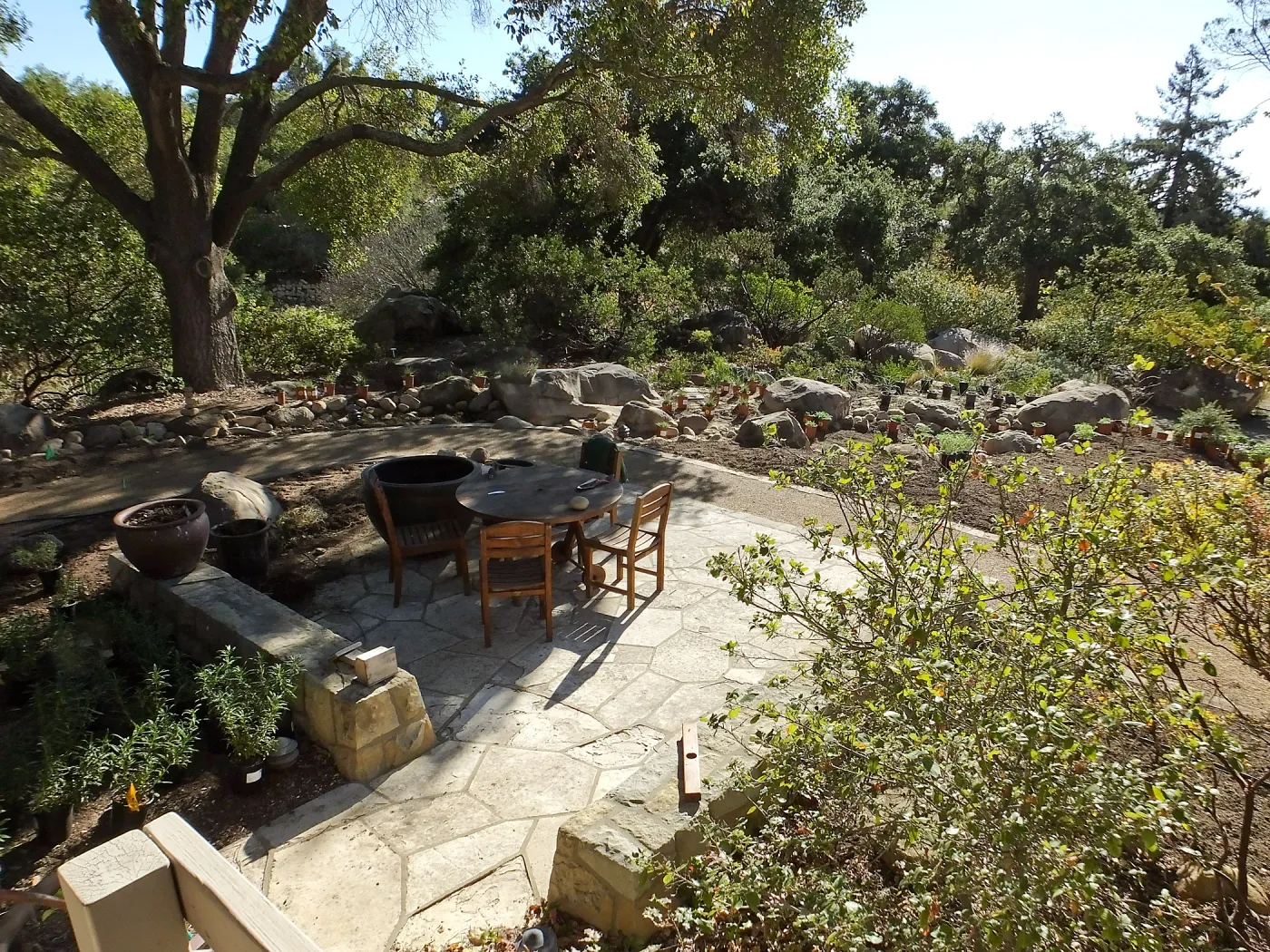 Home Demonstration Garden Renovation, view 20, looking southeast from south entrance of Cottage, first day of replanting work