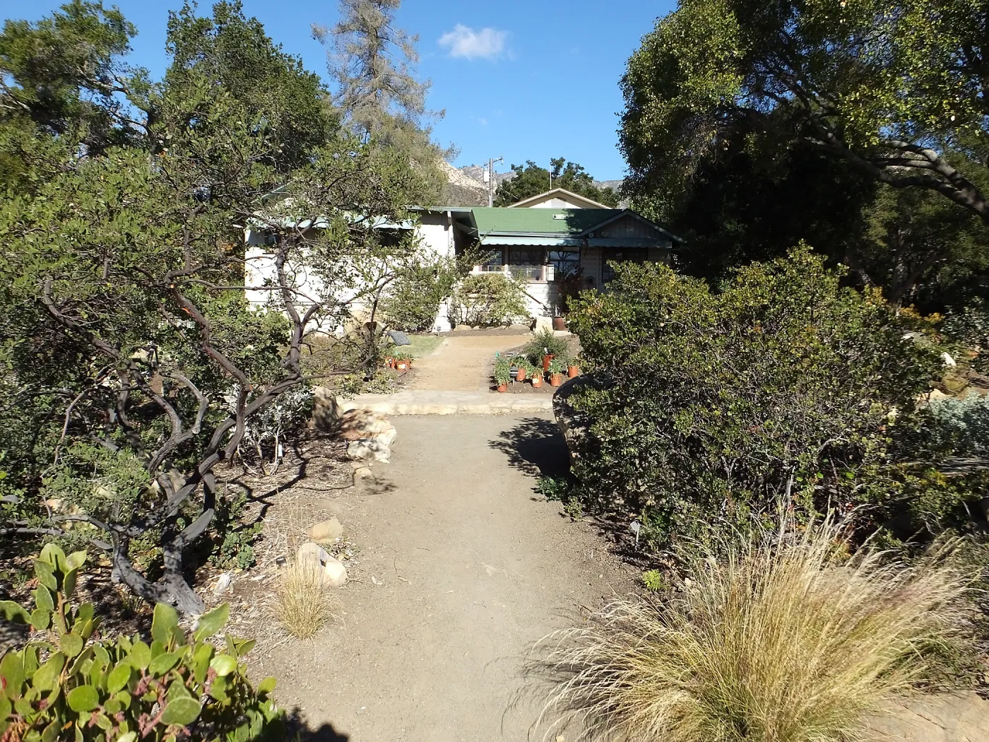 Home Demonstration Garden Renovation, view 24, south side of Cottage, first day of replanting work