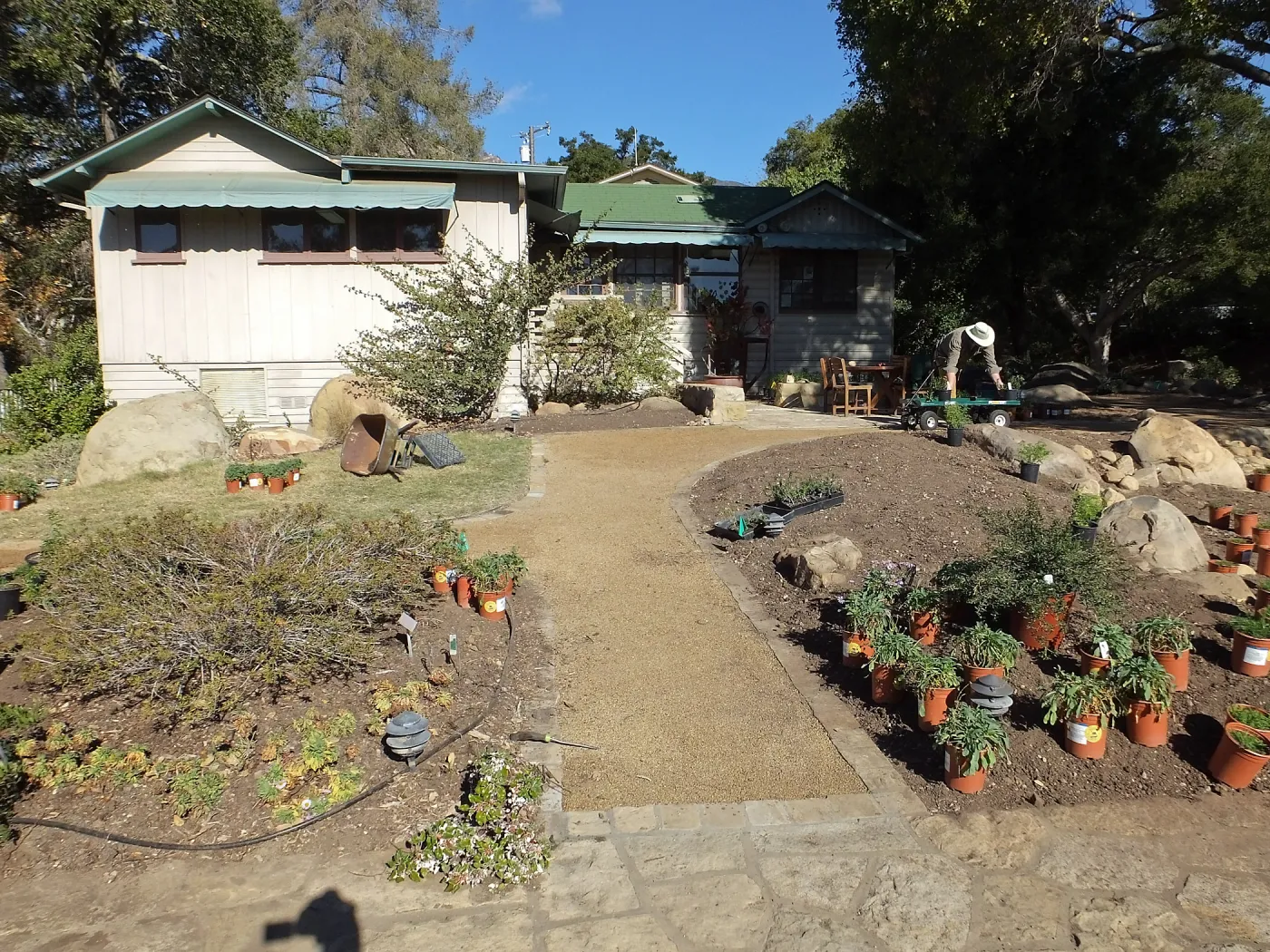 Home Demonstration Garden Renovation, view 22, south side of Cottage, first day of replanting work