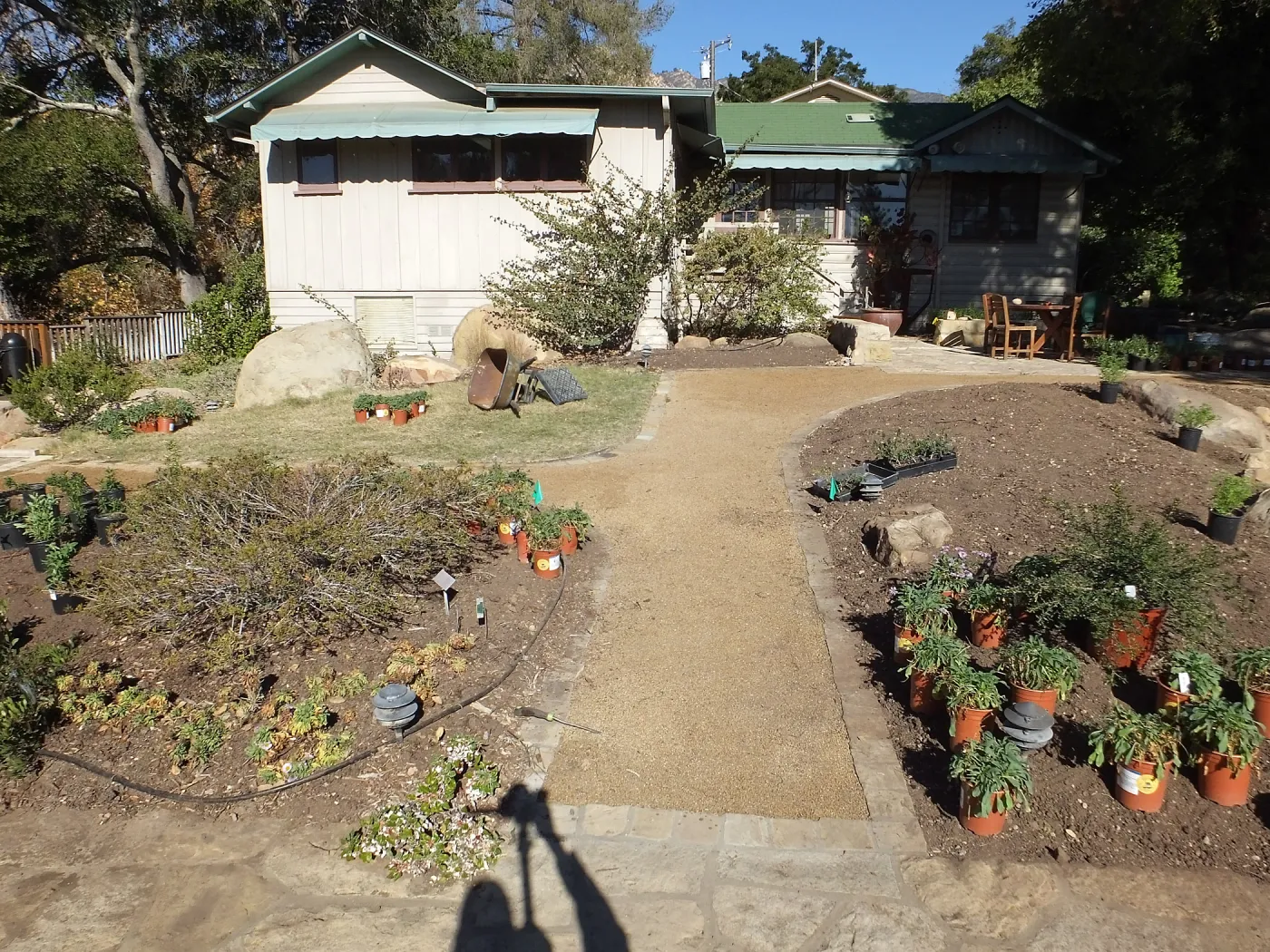 Home Demonstration Garden Renovation, view 22, south side of Cottage, first day of replanting work