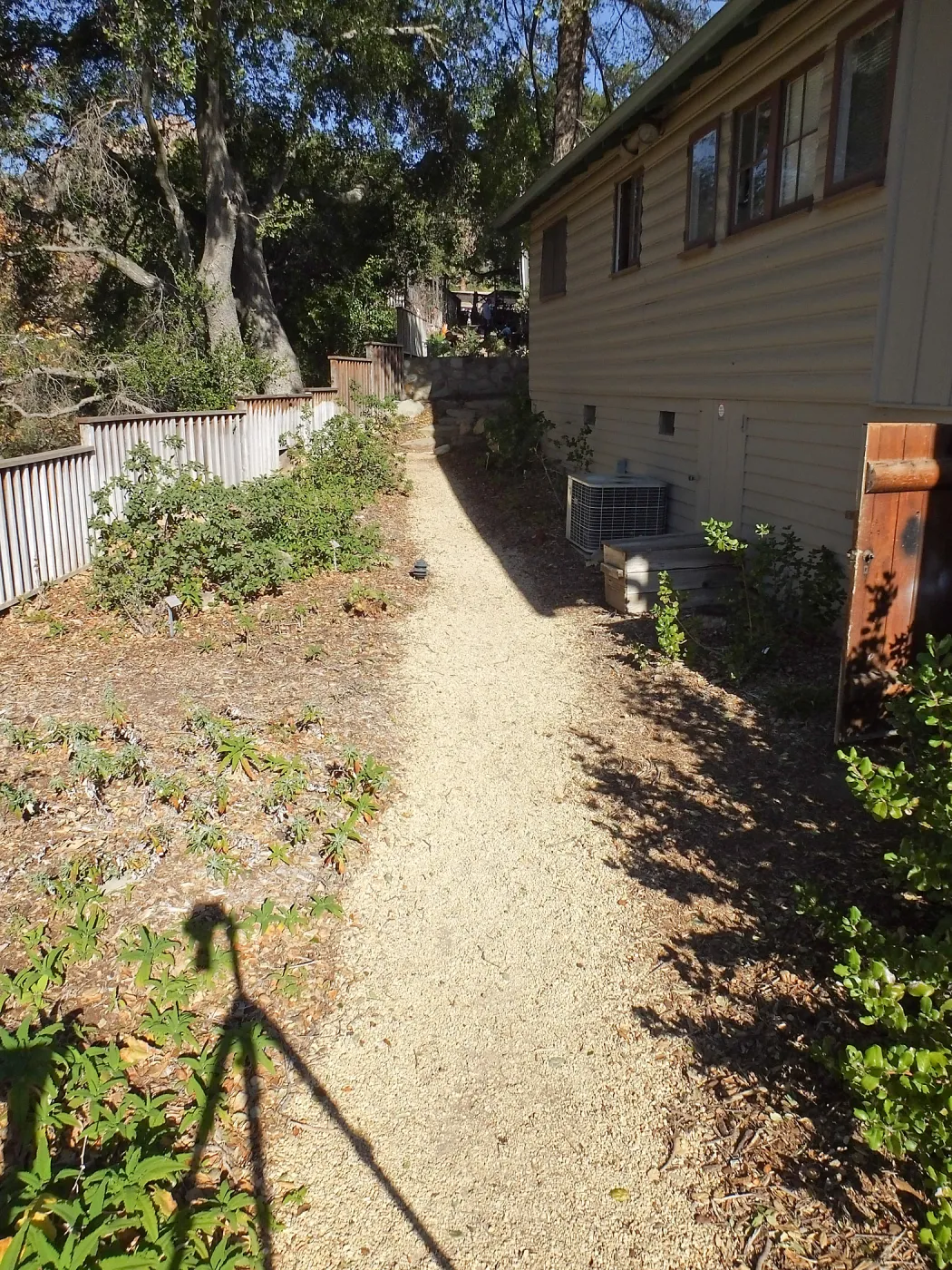 Home Demonstration Garden Renovation, view 30, looking north along path west of Cottage, first day of replanting work