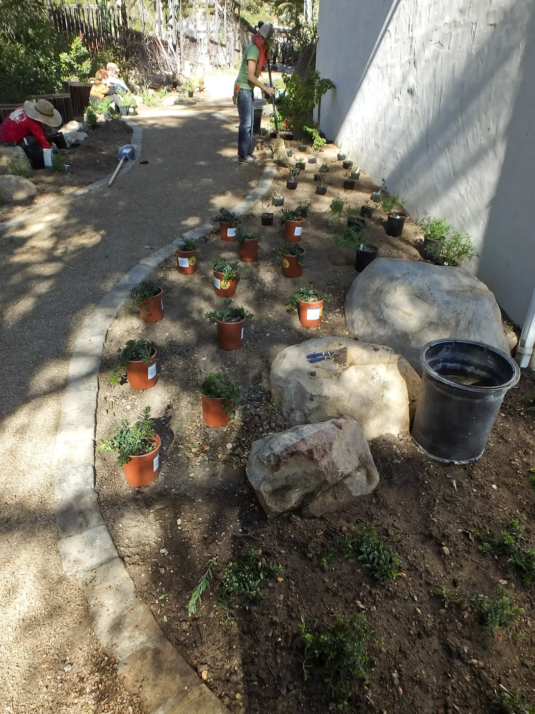 Home Demonstration Garden Renovation, first day of replanting work