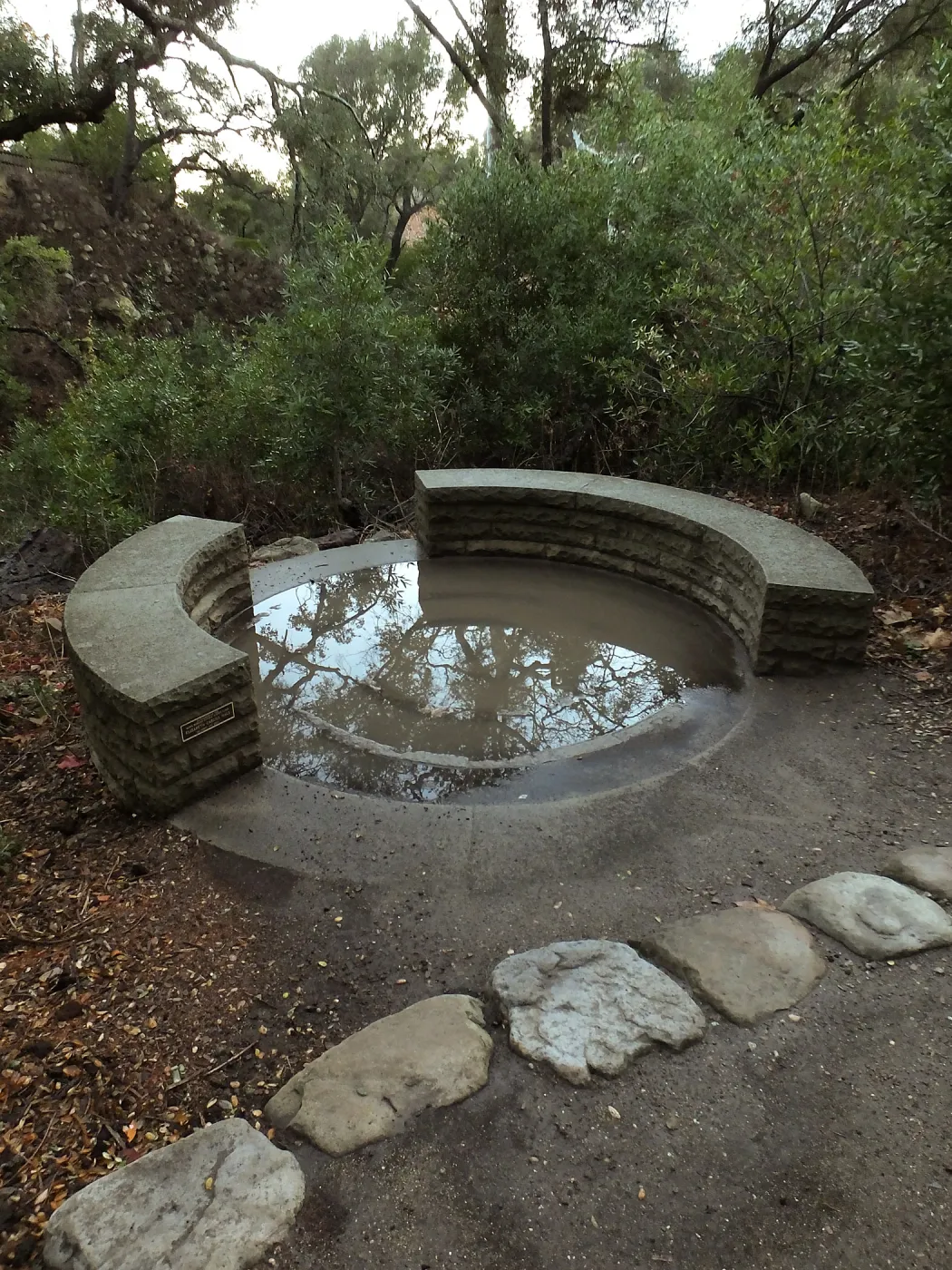 Water in Elizabeth Cargill Hall Spiral Bench after rainfall
