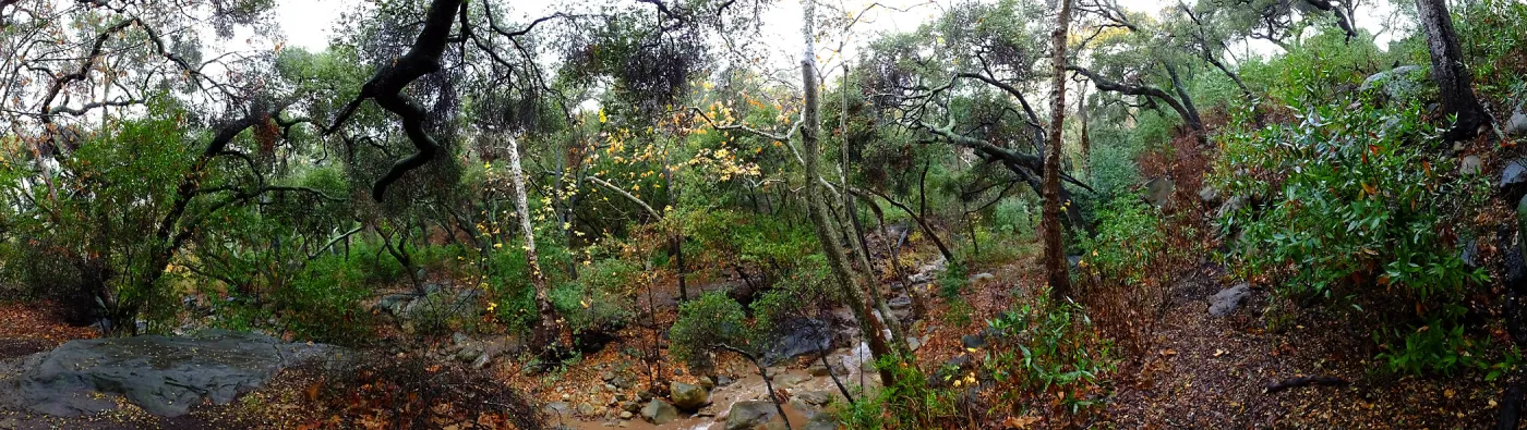 Panorama of Canyon and Mission Creek just above lower crossing, after rainfall