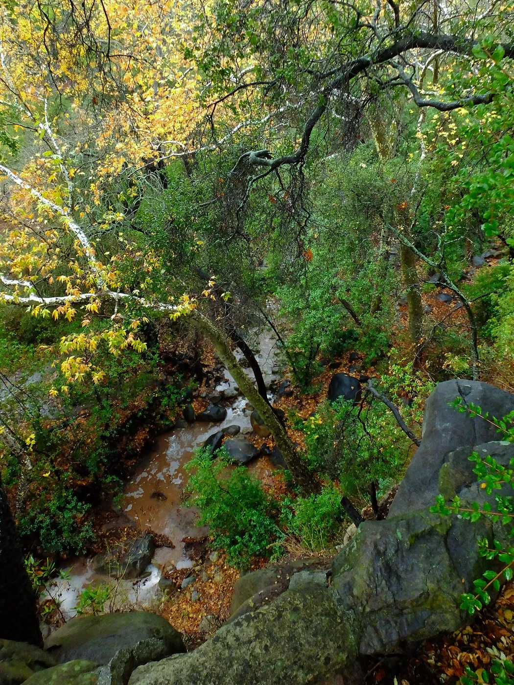 View from Canyon rim, adjacent to Cottage after rainfall