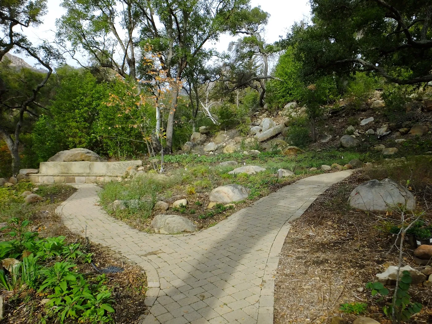Wooded Dell after completion of main section planting