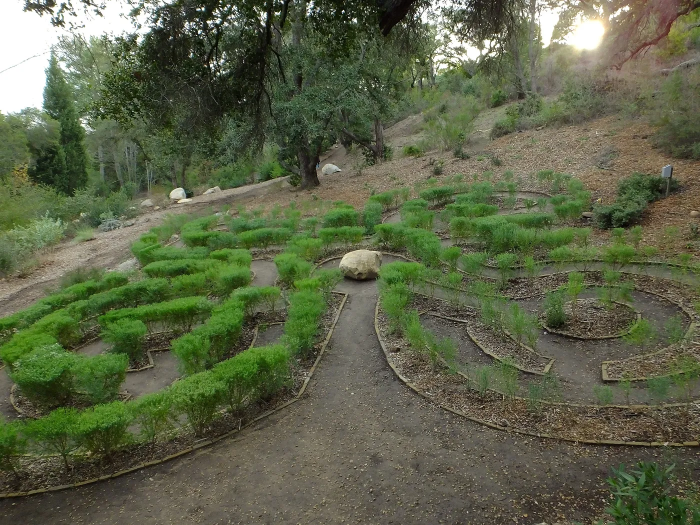Centennial Maze