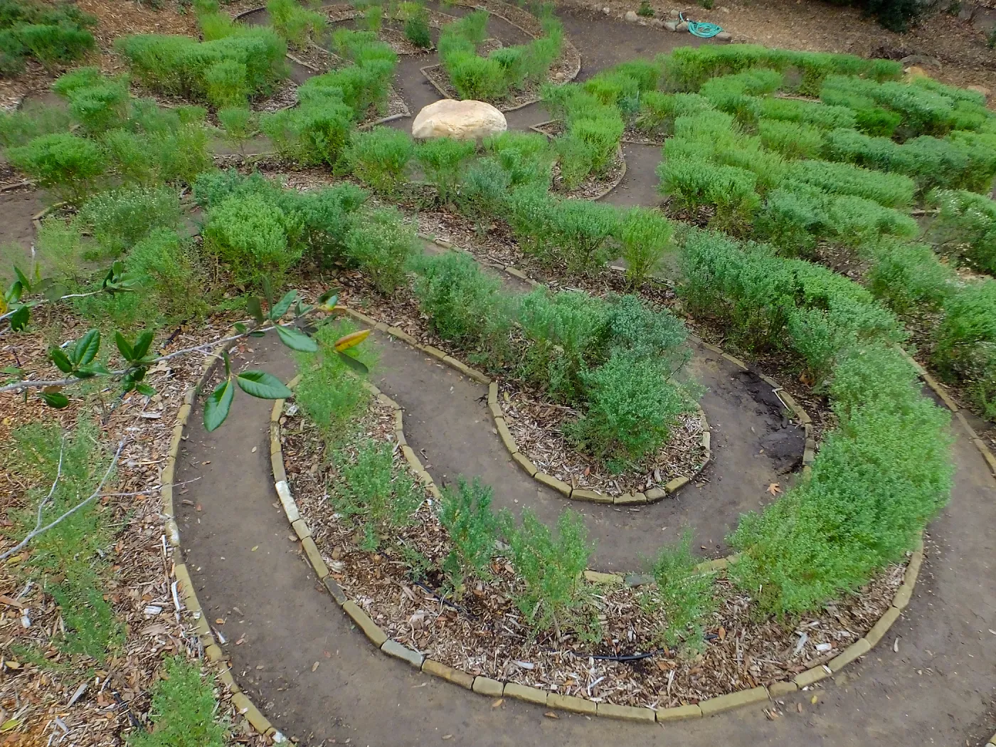 Centennial Maze