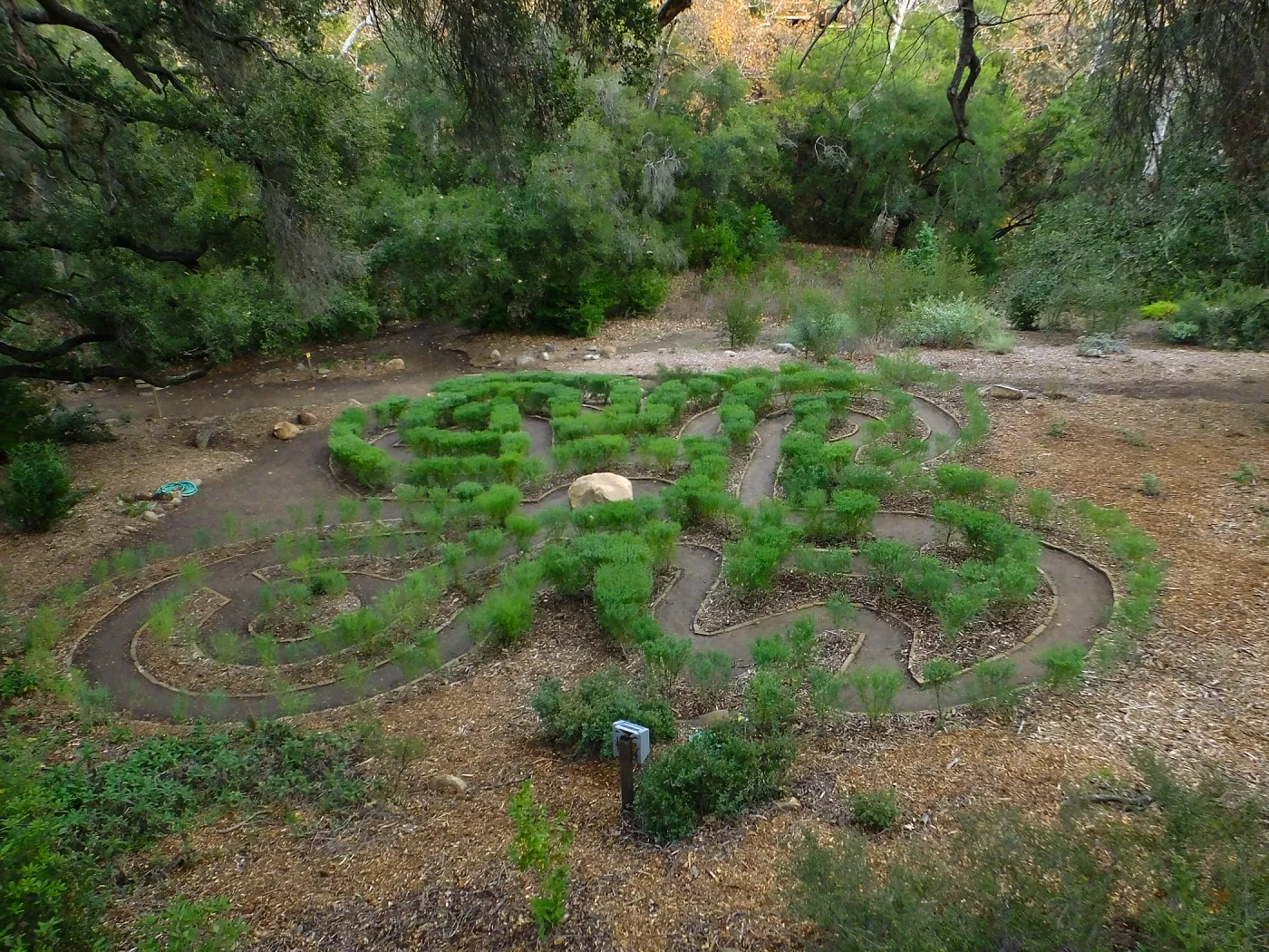 Centennial Maze