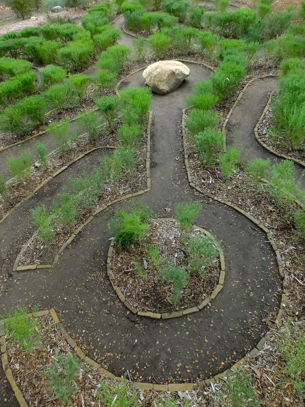 Centennial Maze