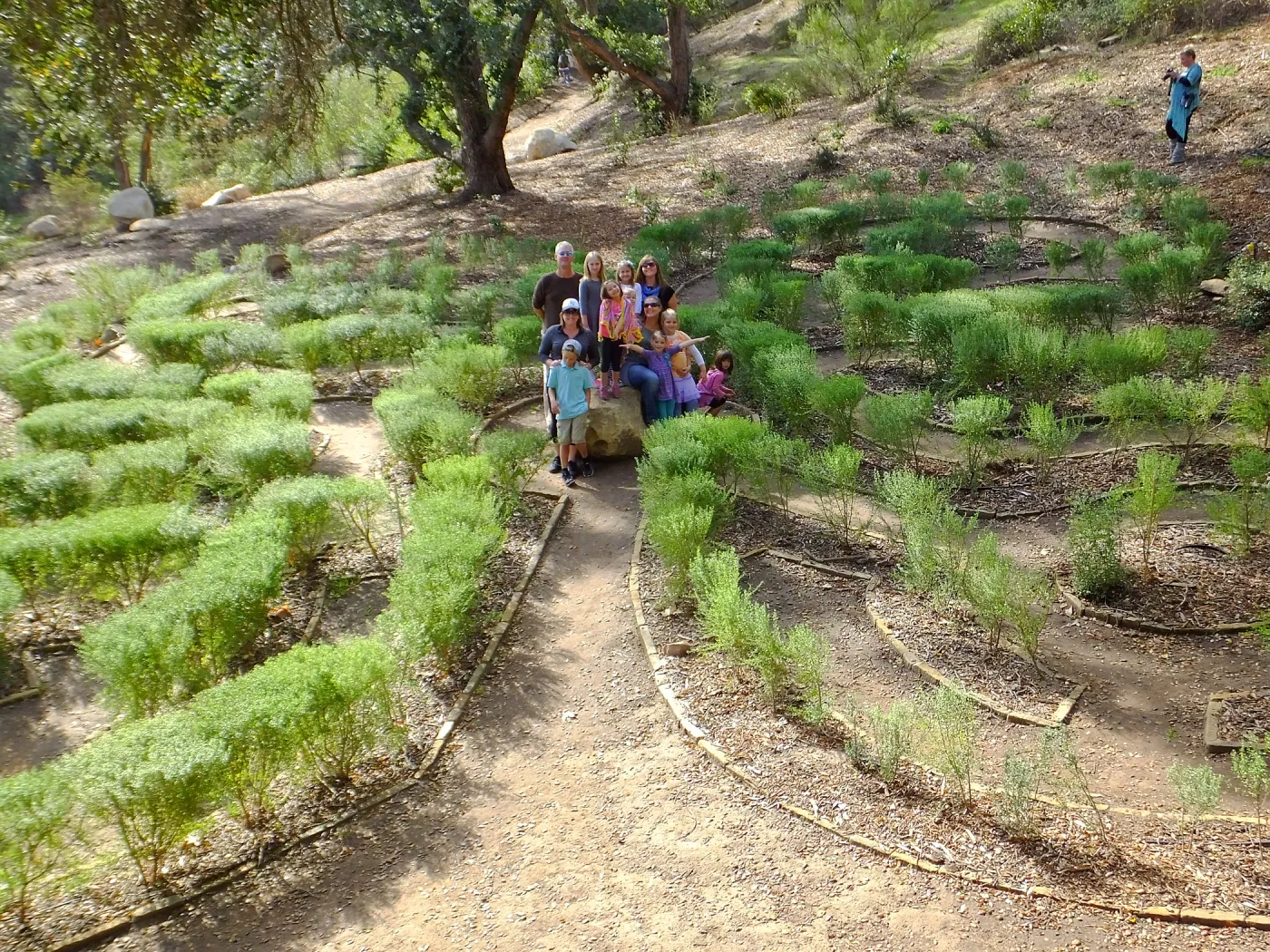 Children in the Centennial Maze