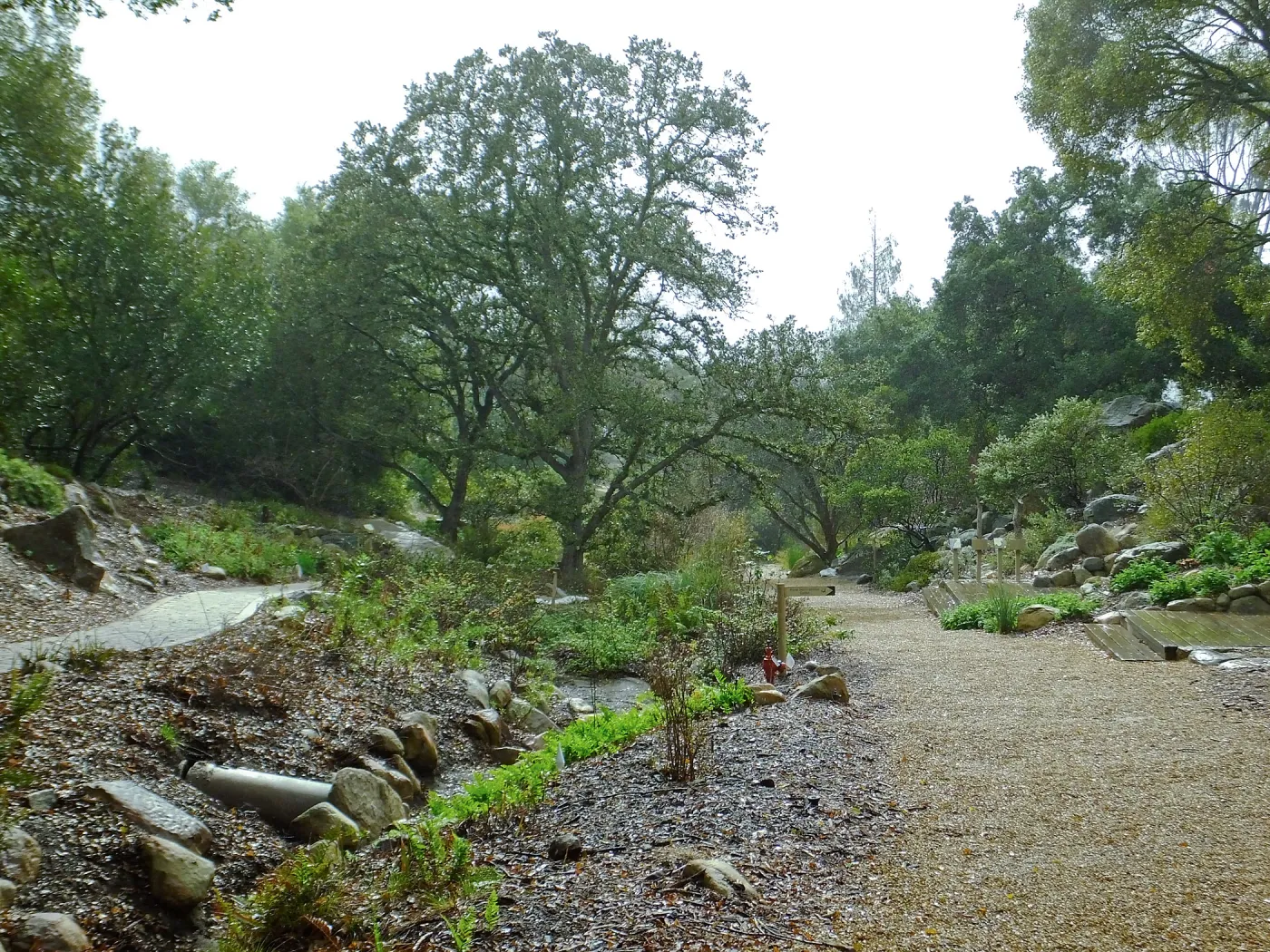 Misty morning in the Arroyo Section