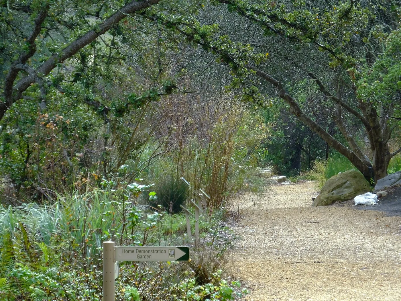 Misty morning in the Arroyo Section