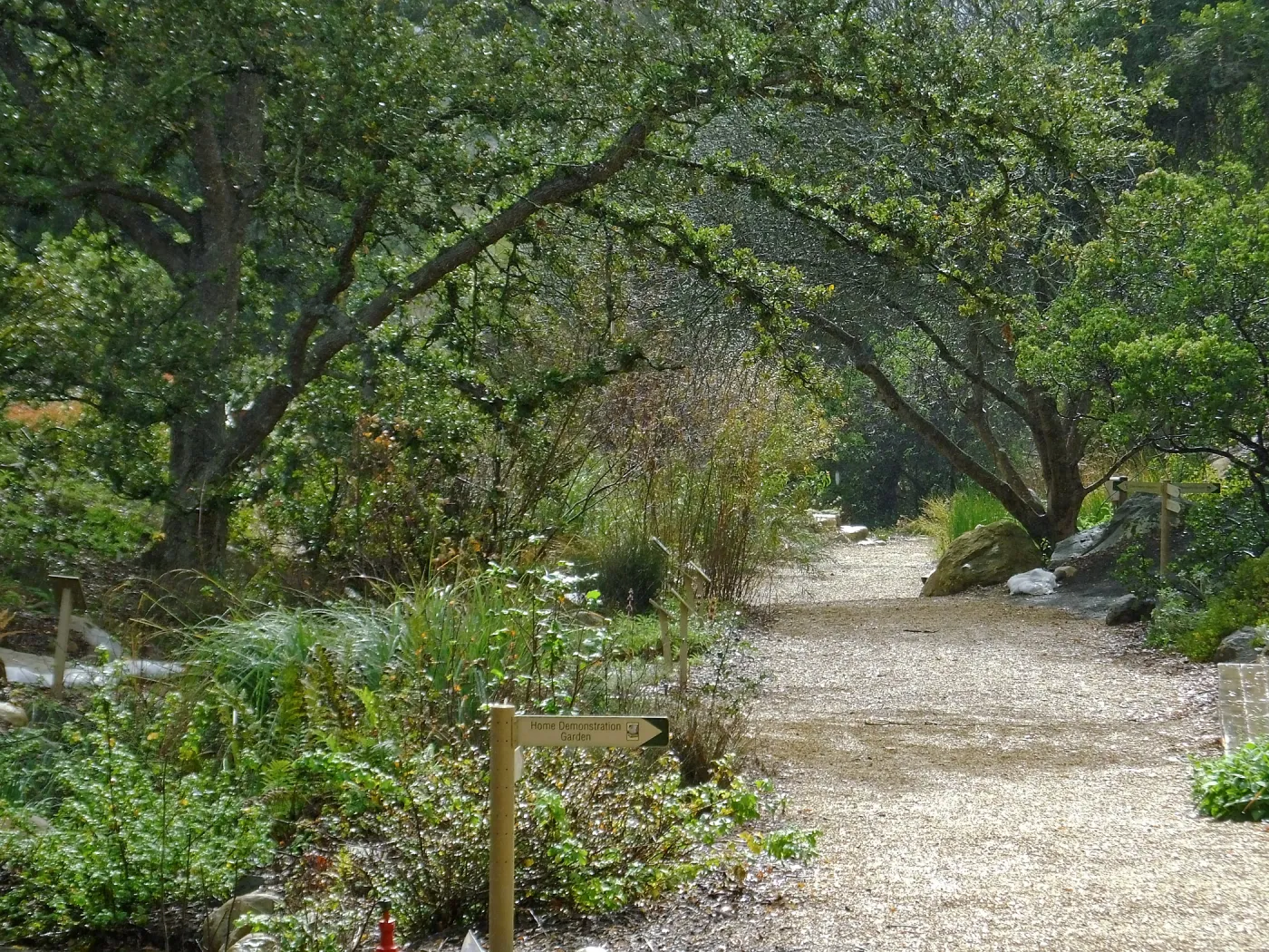 Misty morning in the Arroyo Section