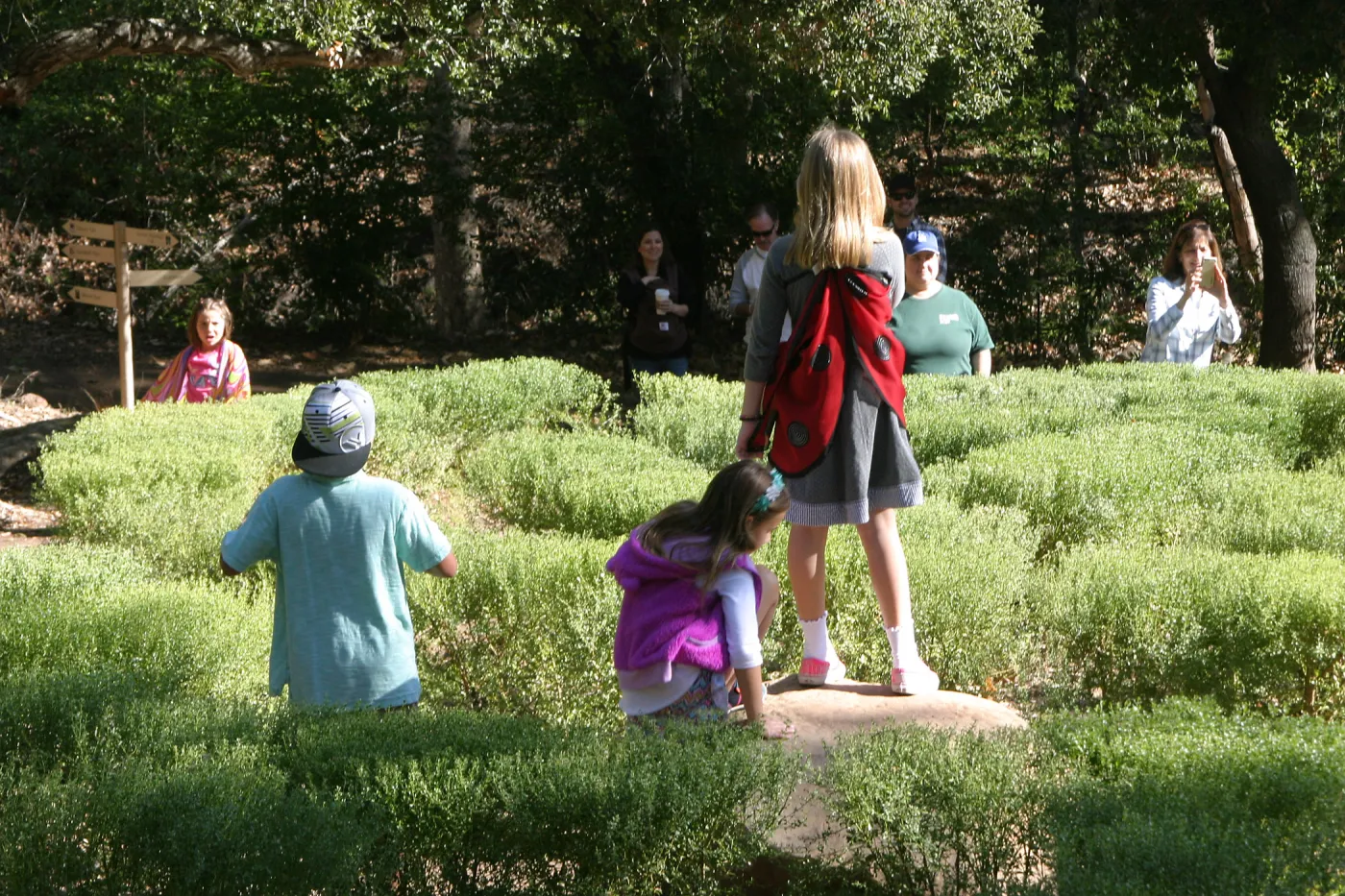 Children in the Centennial Maze