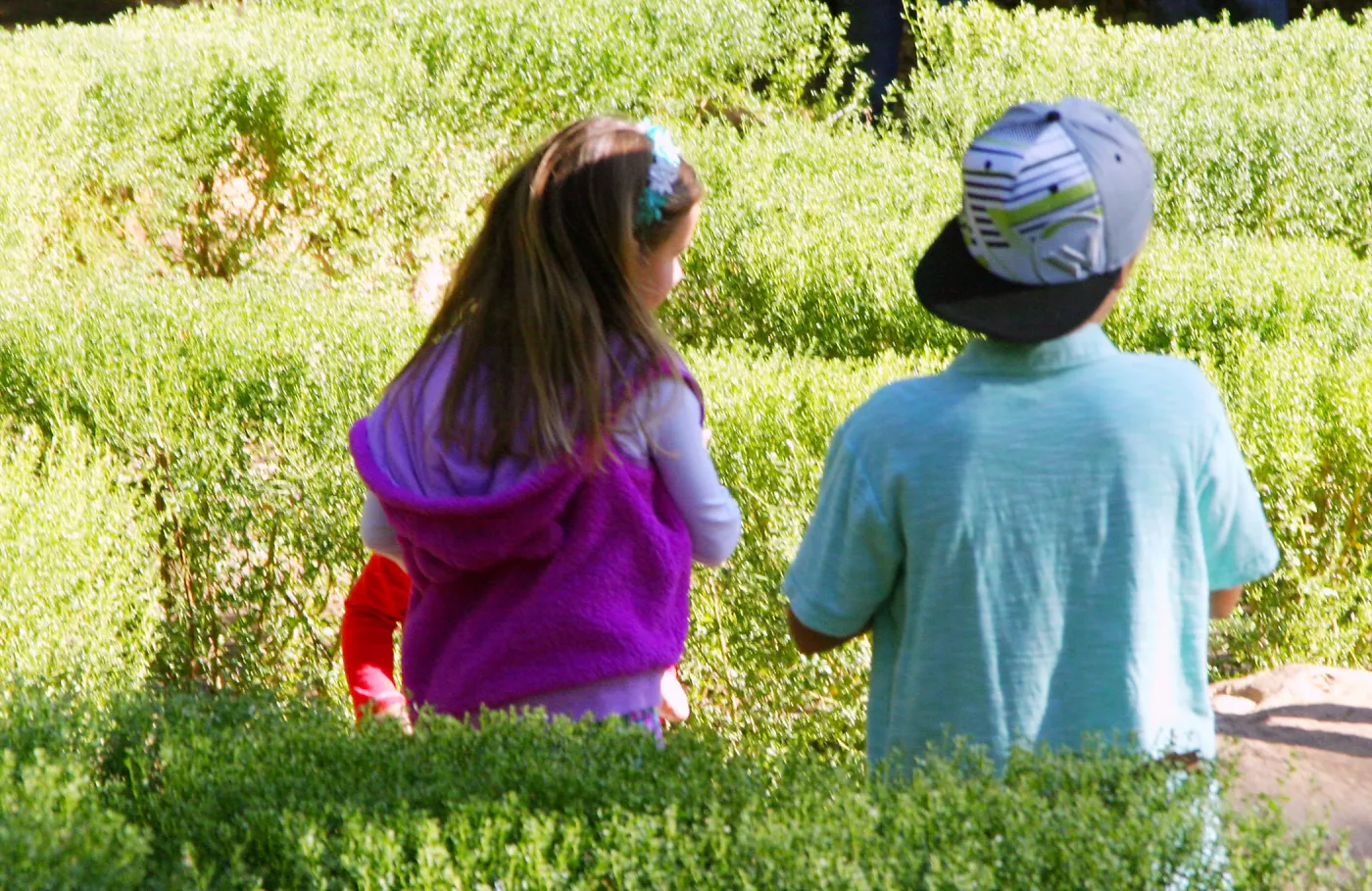 Children in the Centennial Maze