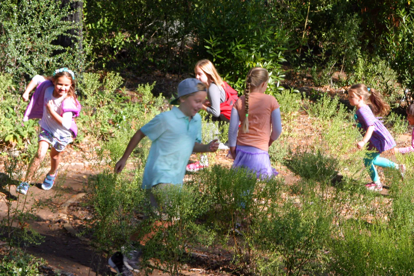 Children in the Centennial Maze