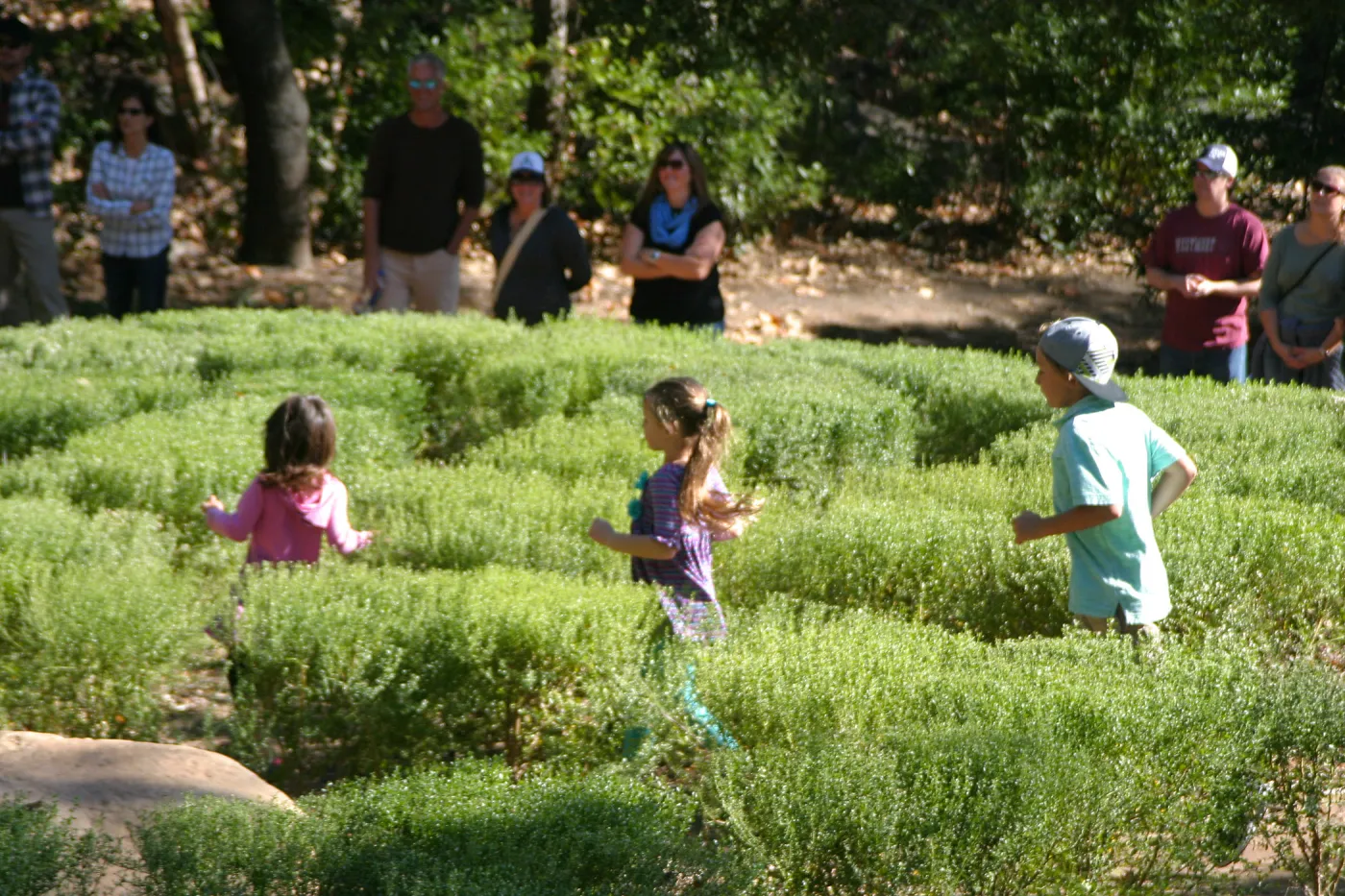 Children in the Centennial Maze