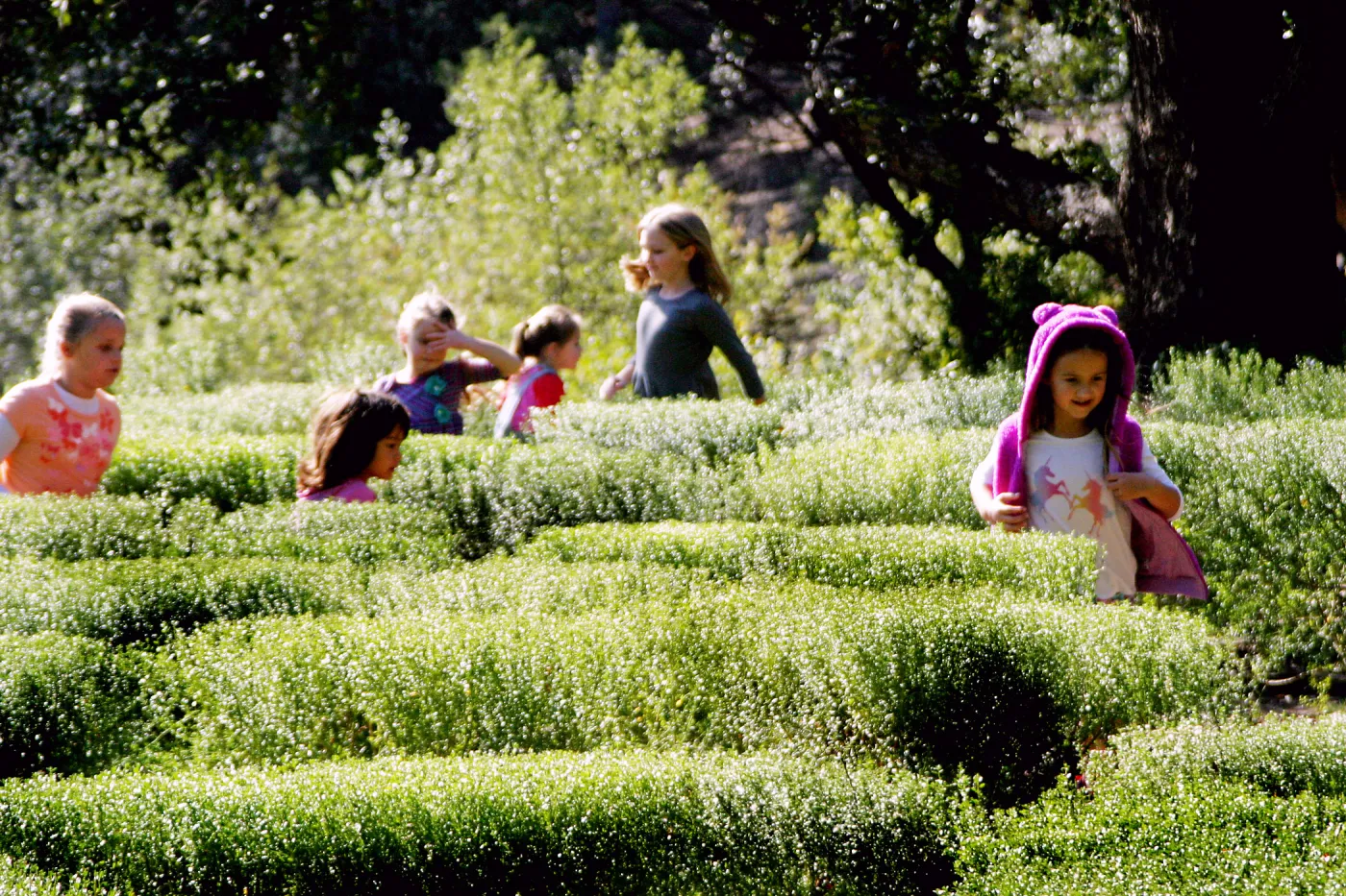 Children in the Centennial Maze