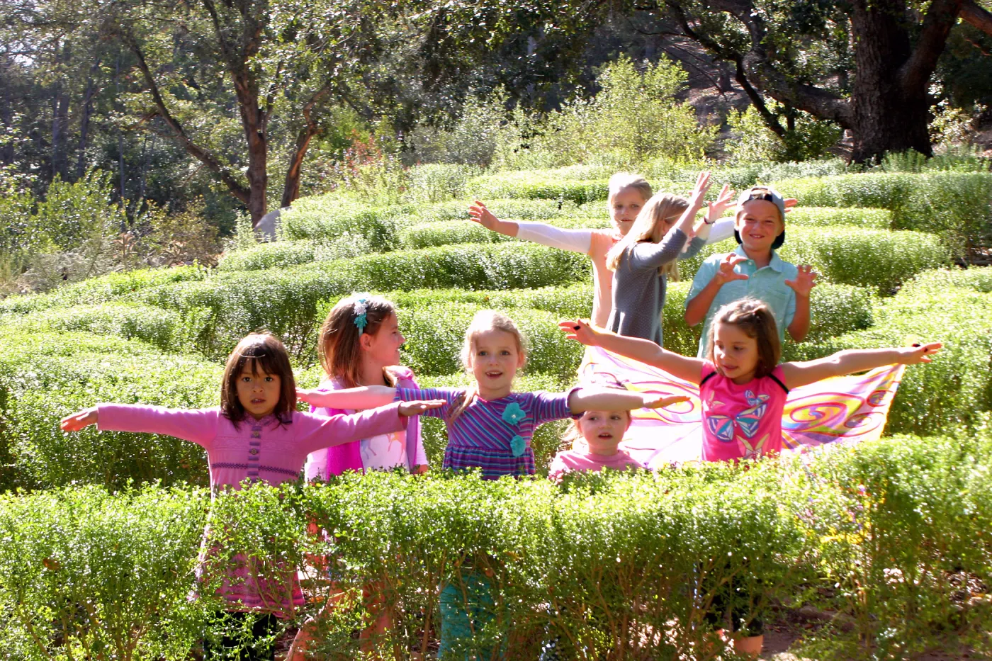 Children in the Centennial Maze
