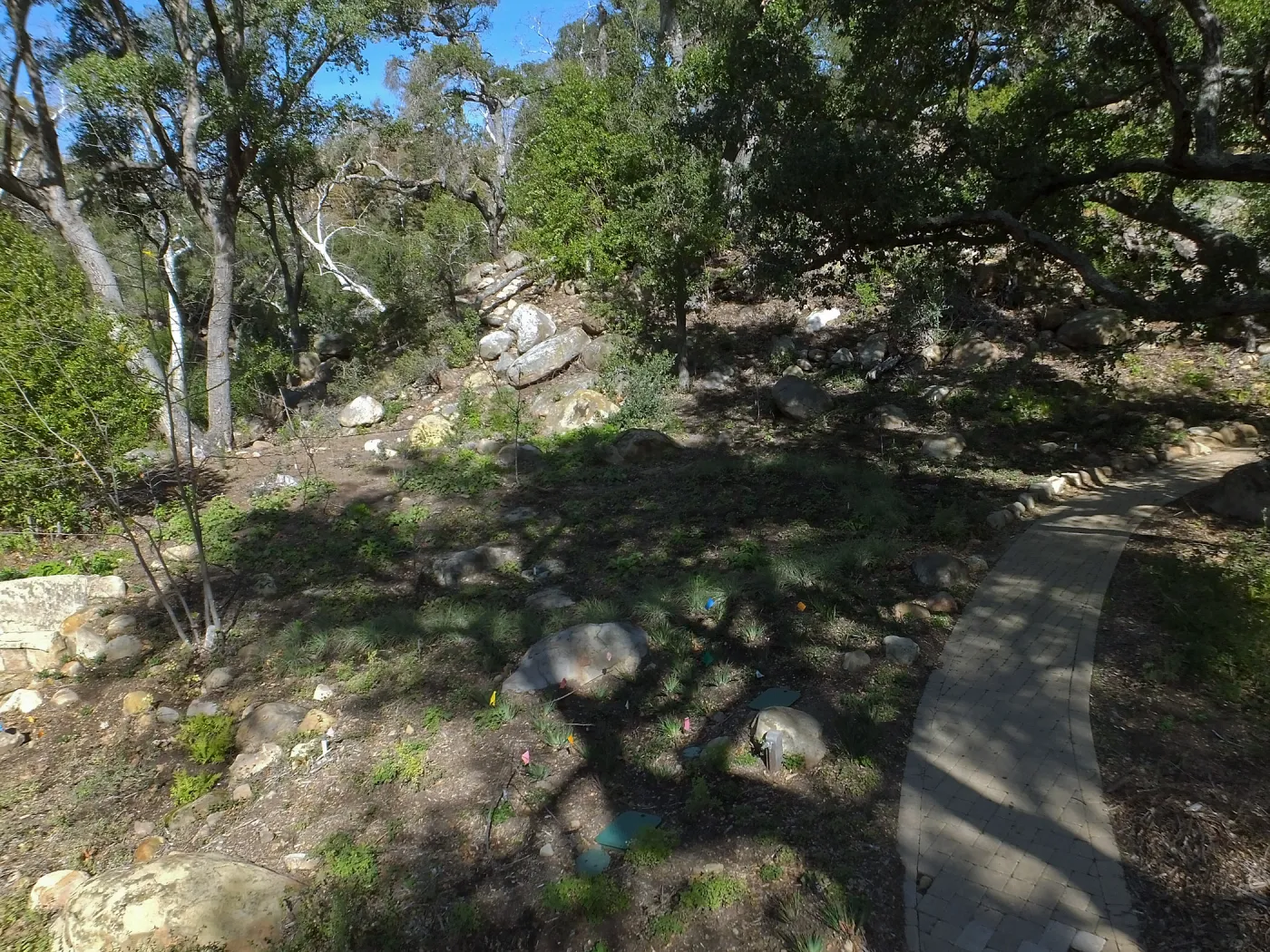 Wooded Dell