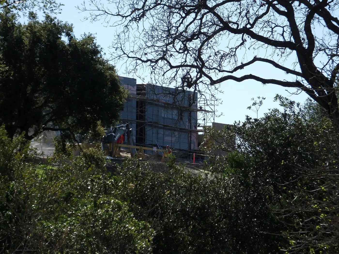 Future location of two Island Oaks, flanking the entrance to the new Island Section at the Pritzlaff Conservation Center