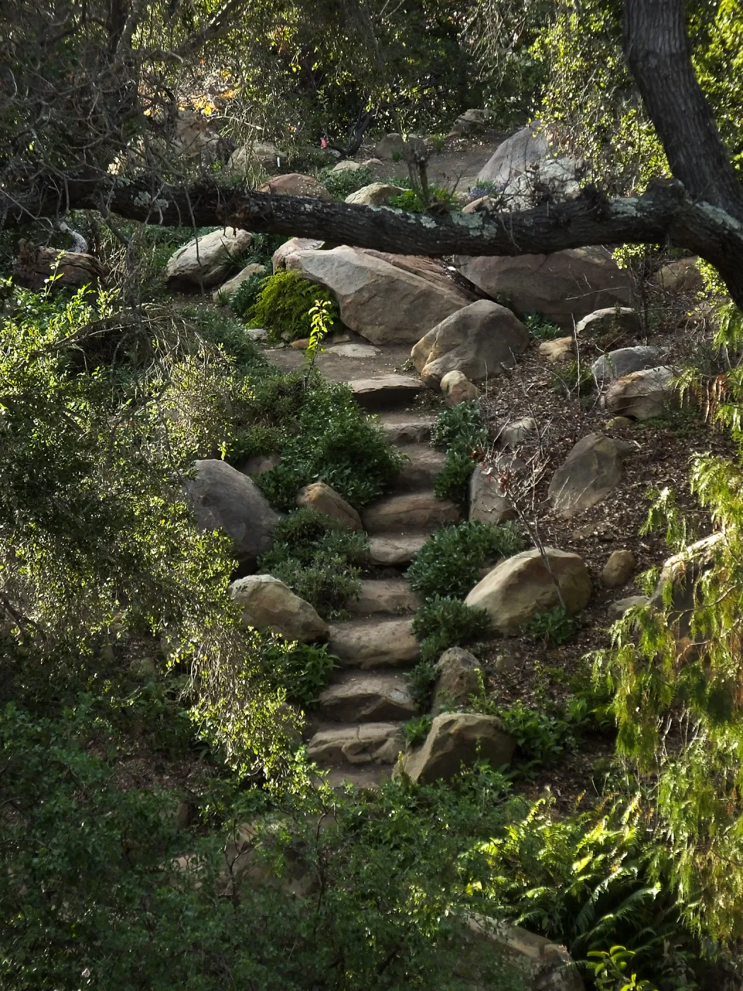 Stone steps in Arroyo Section