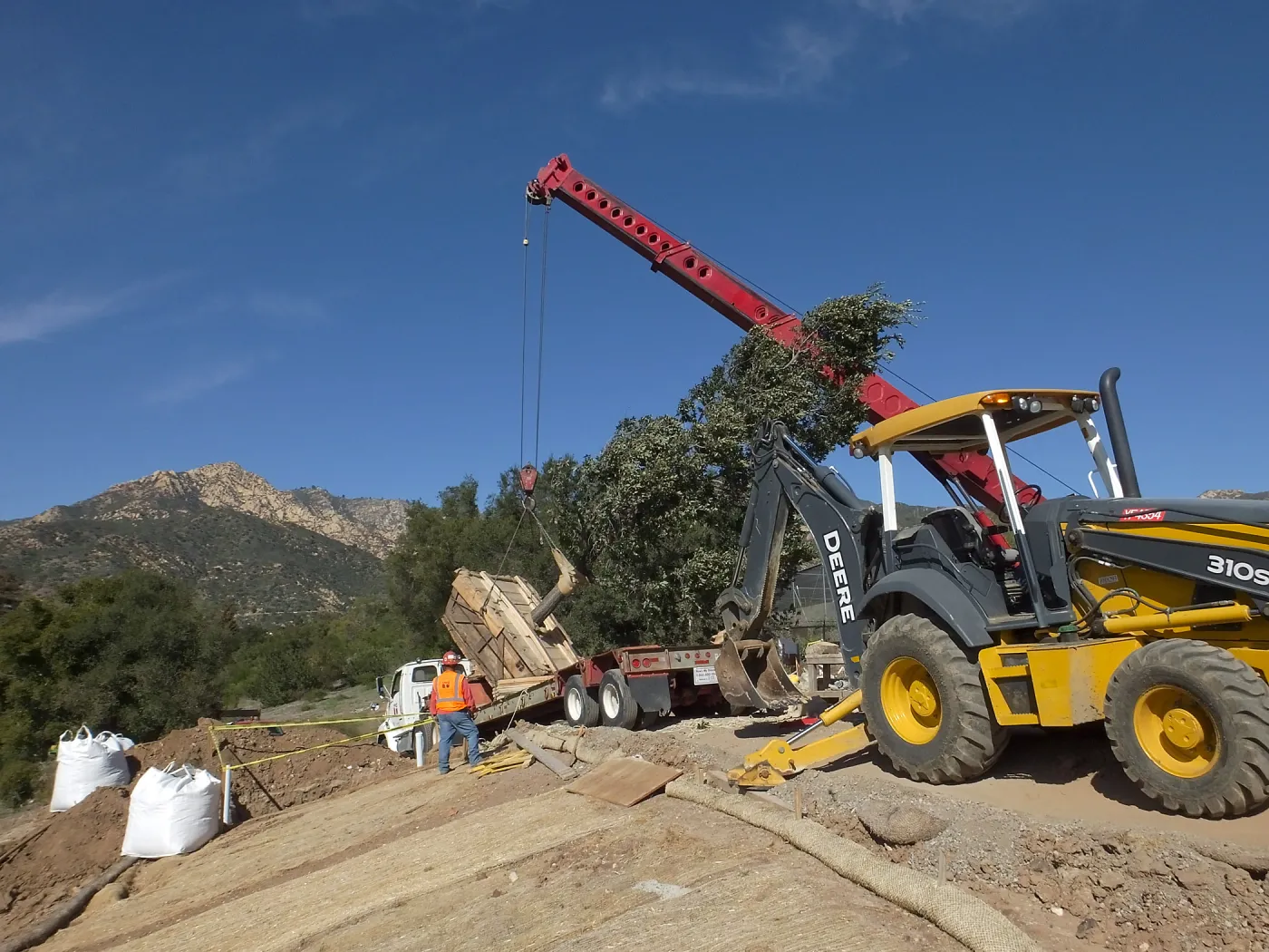 Installation of Island Oaks, flanking the entrance to the new Island Section at the Pritzlaff Conservation Center