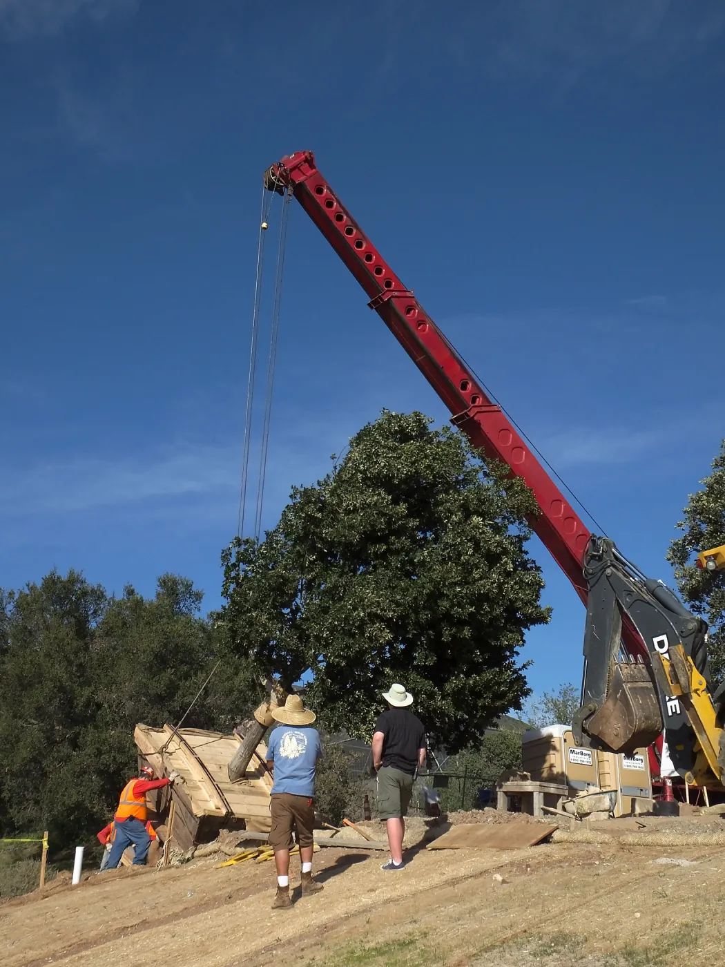 Installation of Island Oaks, flanking the entrance to the new Island Section at the Pritzlaff Conservation Center