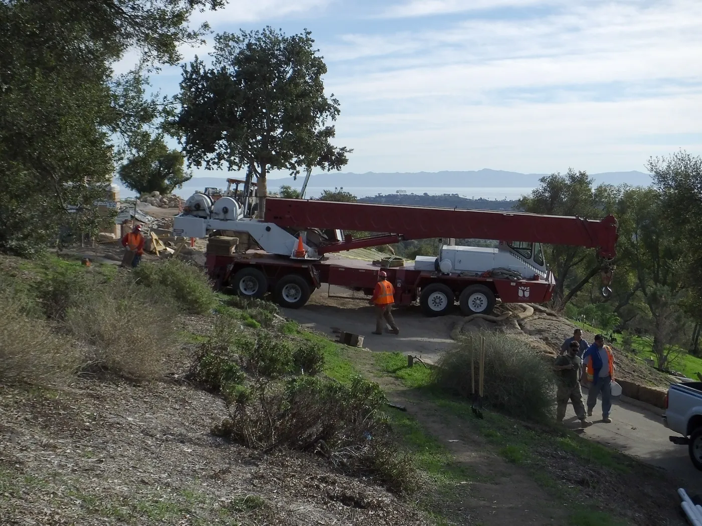 Installation of Island Oaks, flanking the entrance to the new Island Section at the Pritzlaff Conservation Center