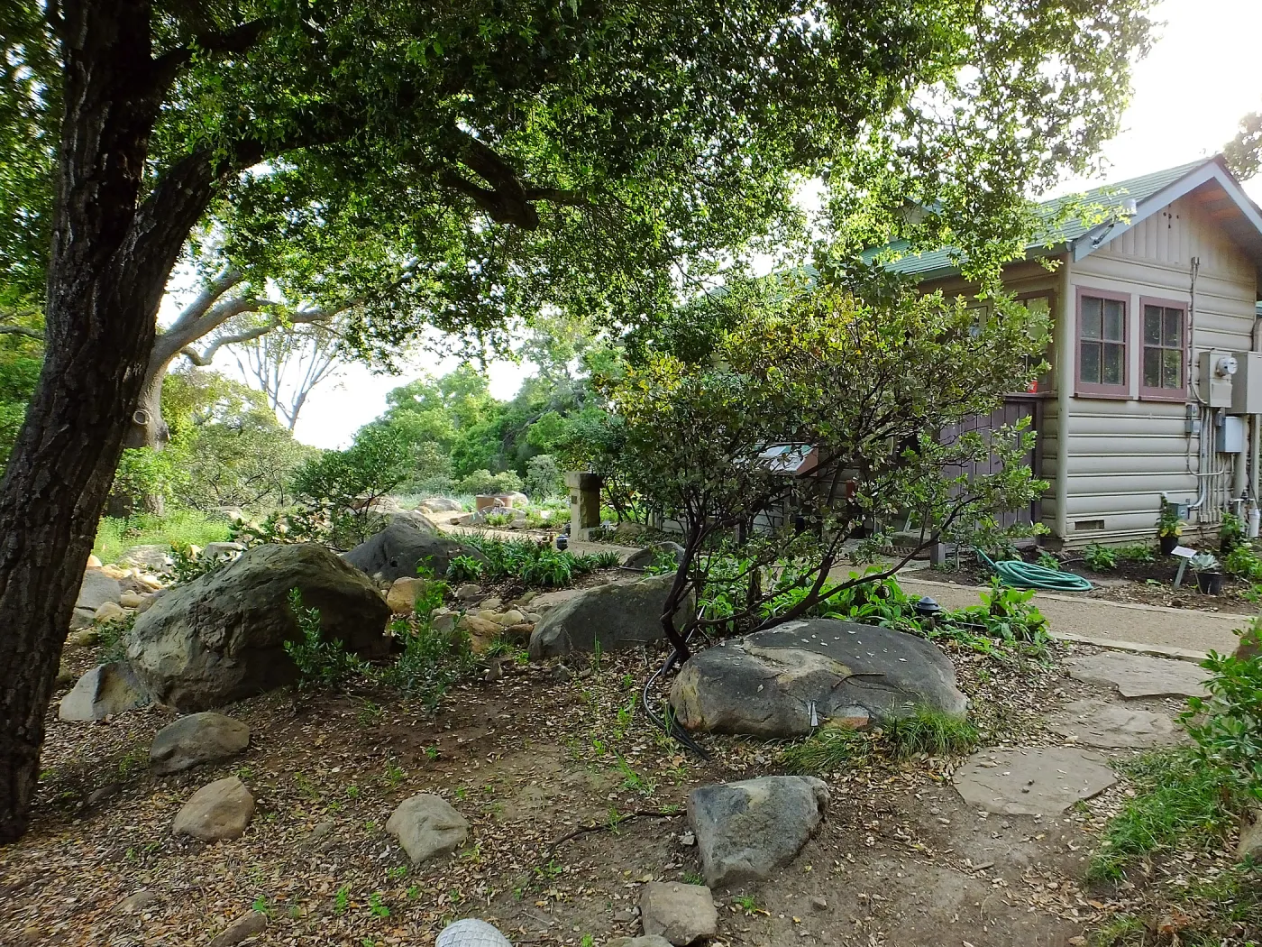 Home Demonstration Garden Renovation, view 7, east of Cottage