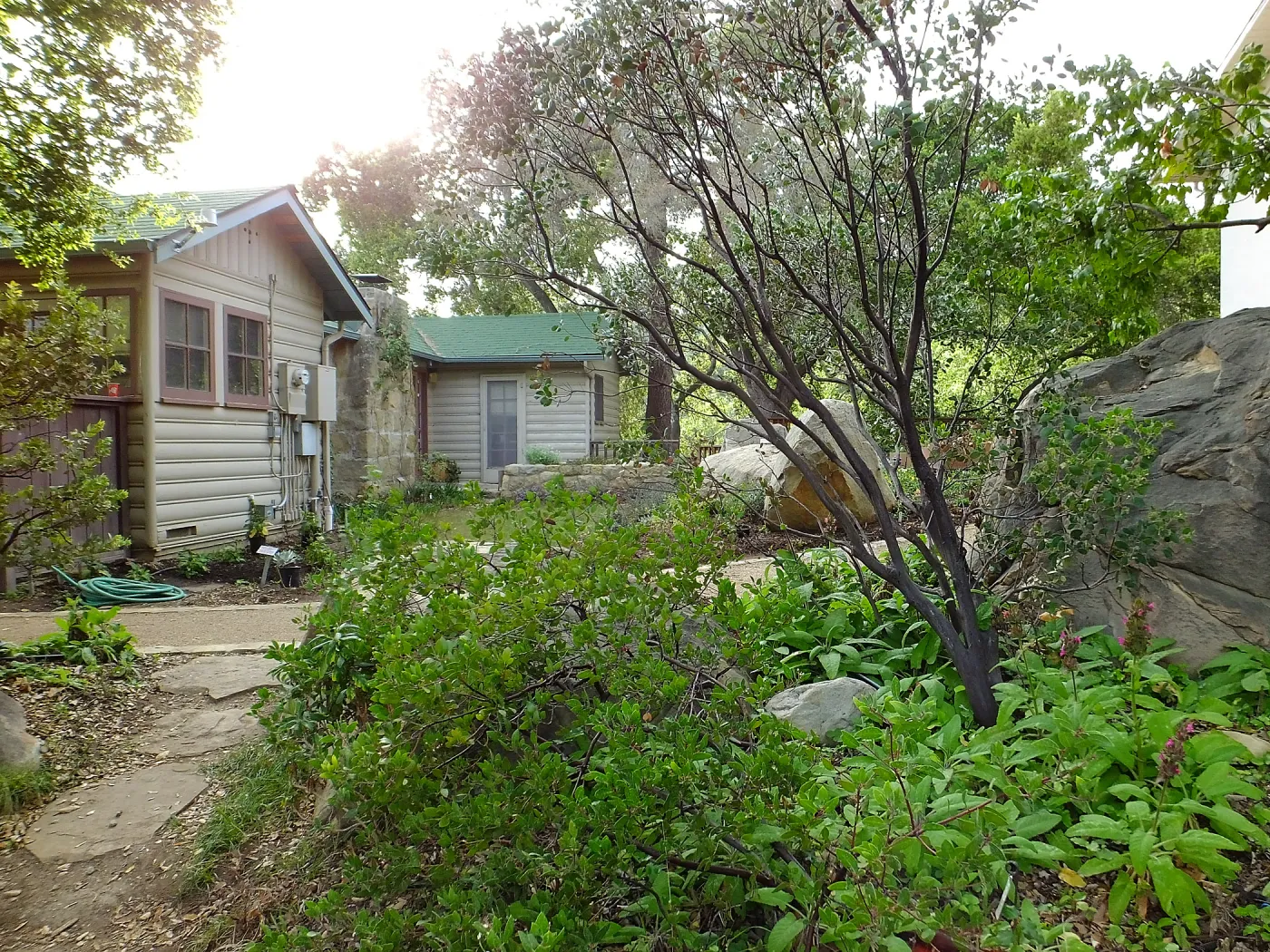 Home Demonstration Garden Renovation, view 8, north of Cottage, looking west