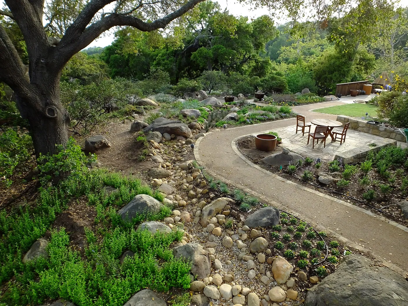 Home Demonstration Garden Renovation, view 34, southeast portion of display from east of Cottage