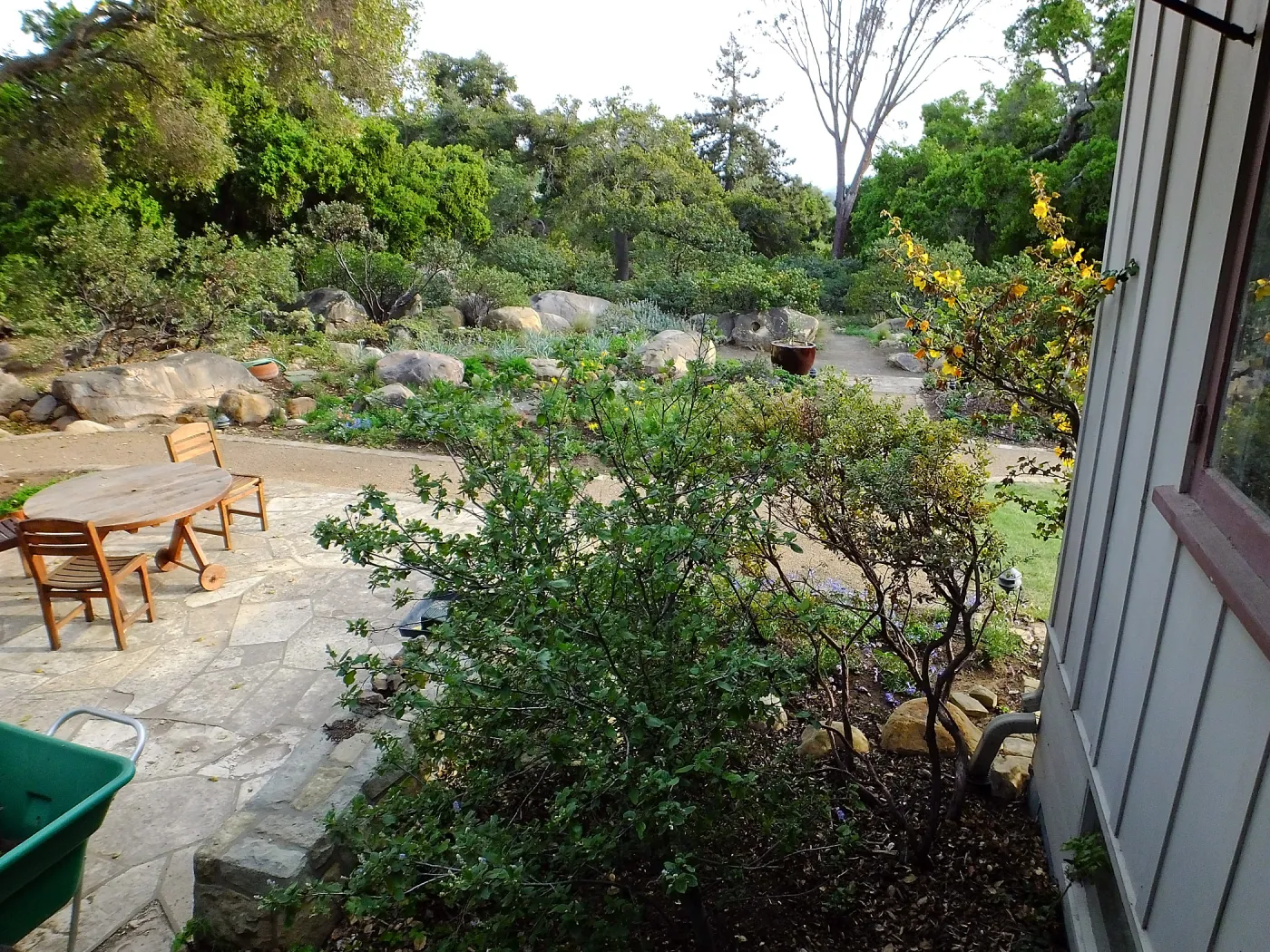 Home Demonstration Garden Renovation, view 18, looking south from south entrance of Cottage