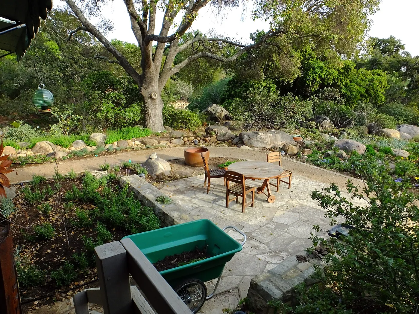 Home Demonstration Garden Renovation, view 19, looking southeast from south entrance of Cottage