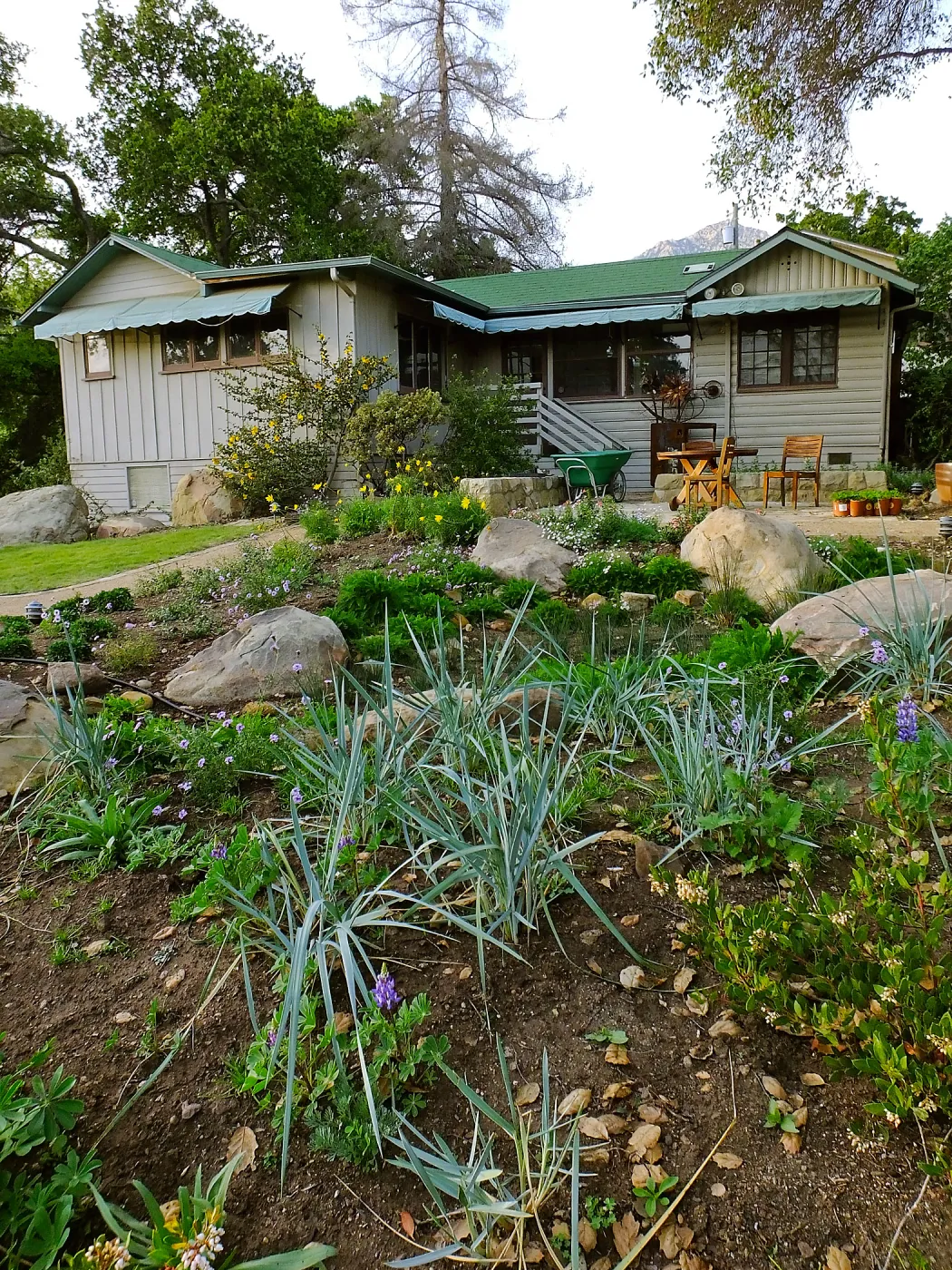 Home Demonstration Garden Renovation