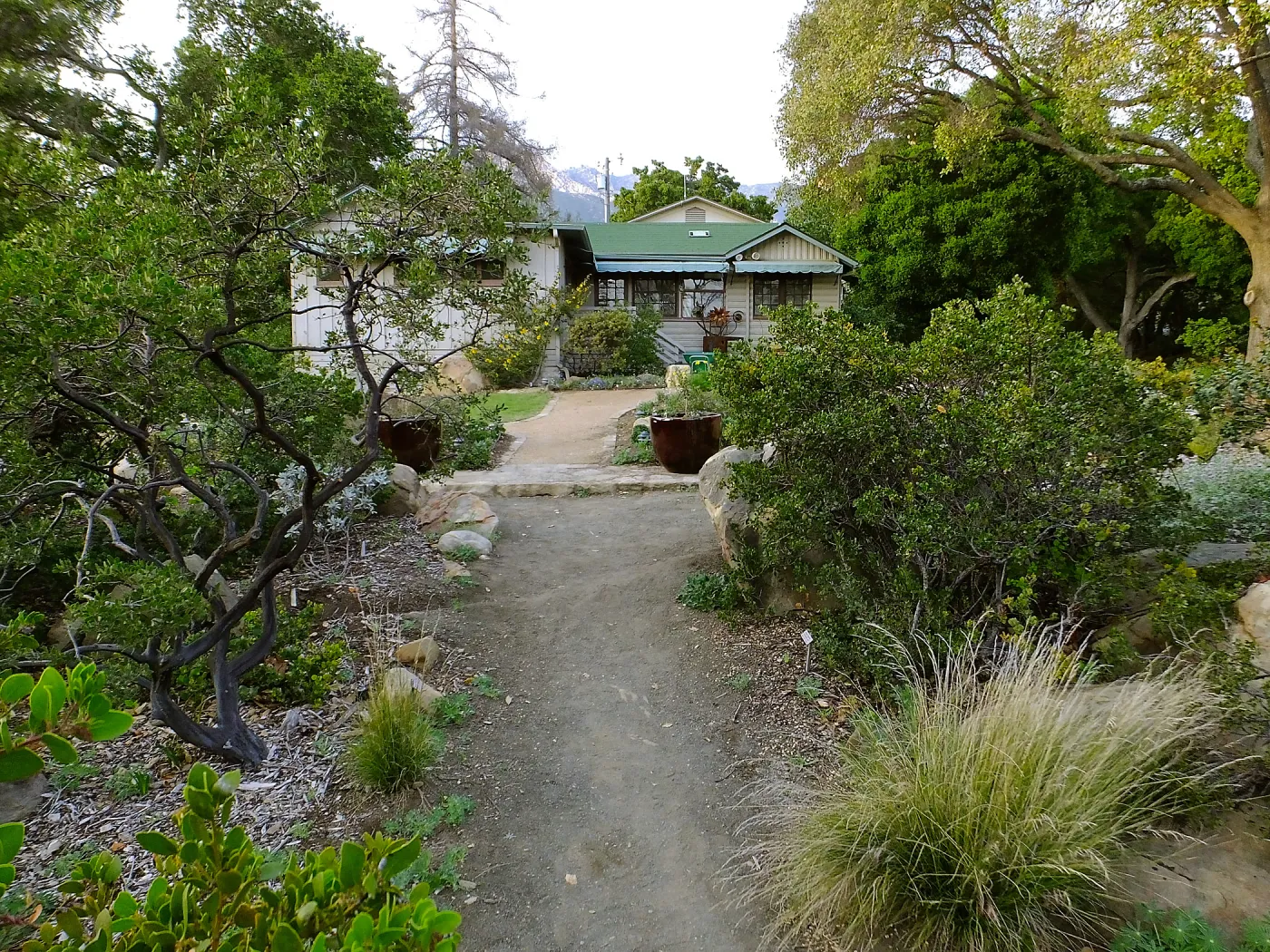 Home Demonstration Garden Renovation, view 24, south side of Cottage